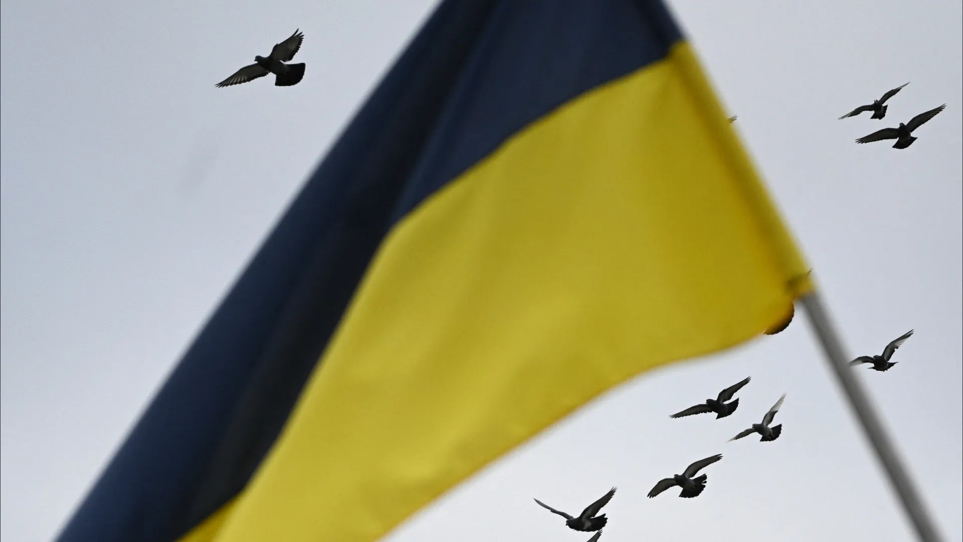 
                    Vice-ministro ucraniano considerou positiva conversa com embaixador dos EUA
                