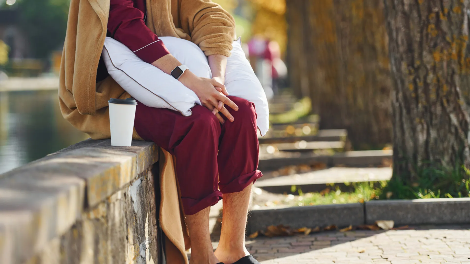 
                    Festa do pijama em 11 cidades europeias a exigir mais comboios noturnos
                