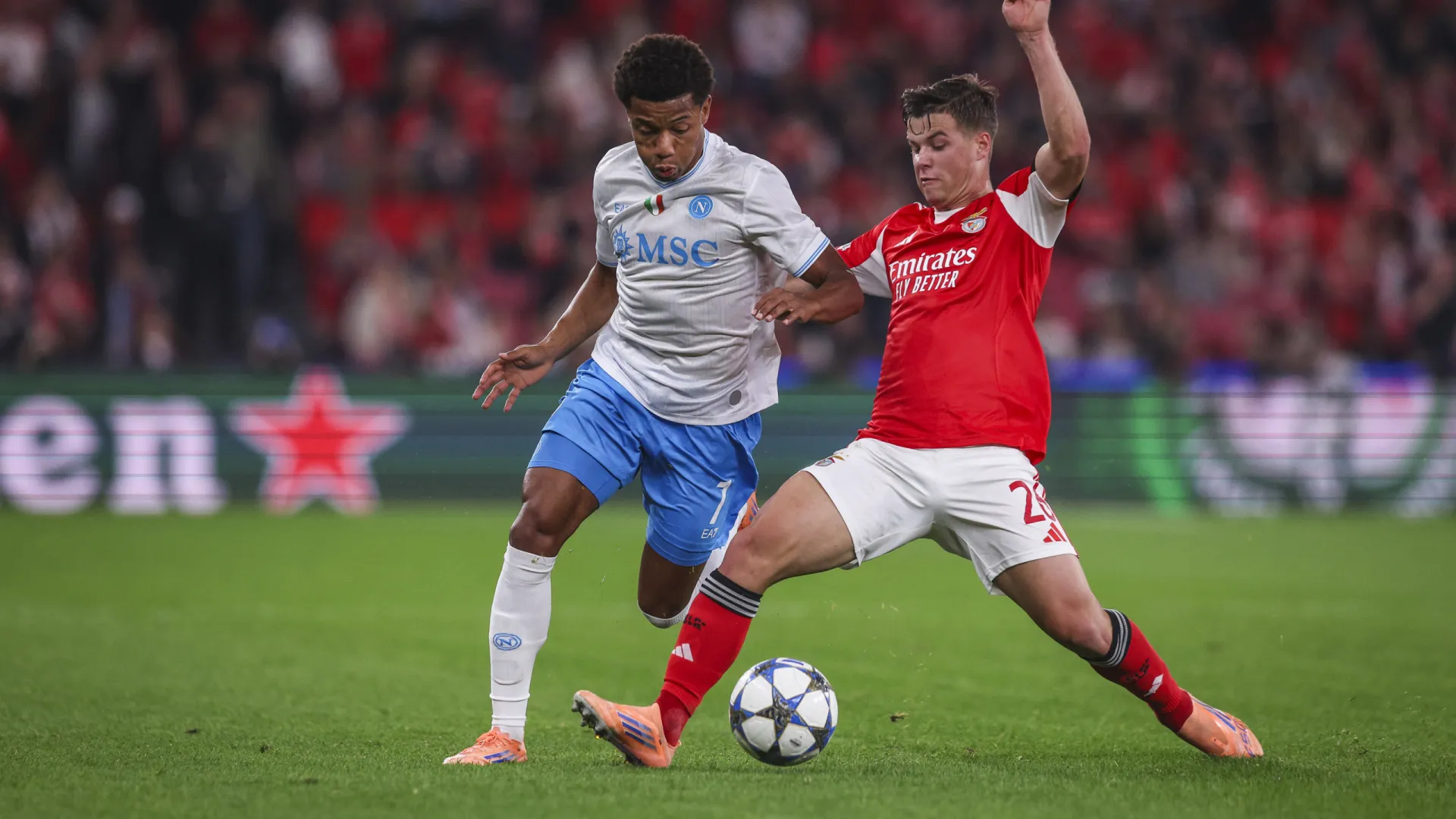 
                    EM DIRETO: Benfica vai vencendo Napoli e City na frente em Madrid
                