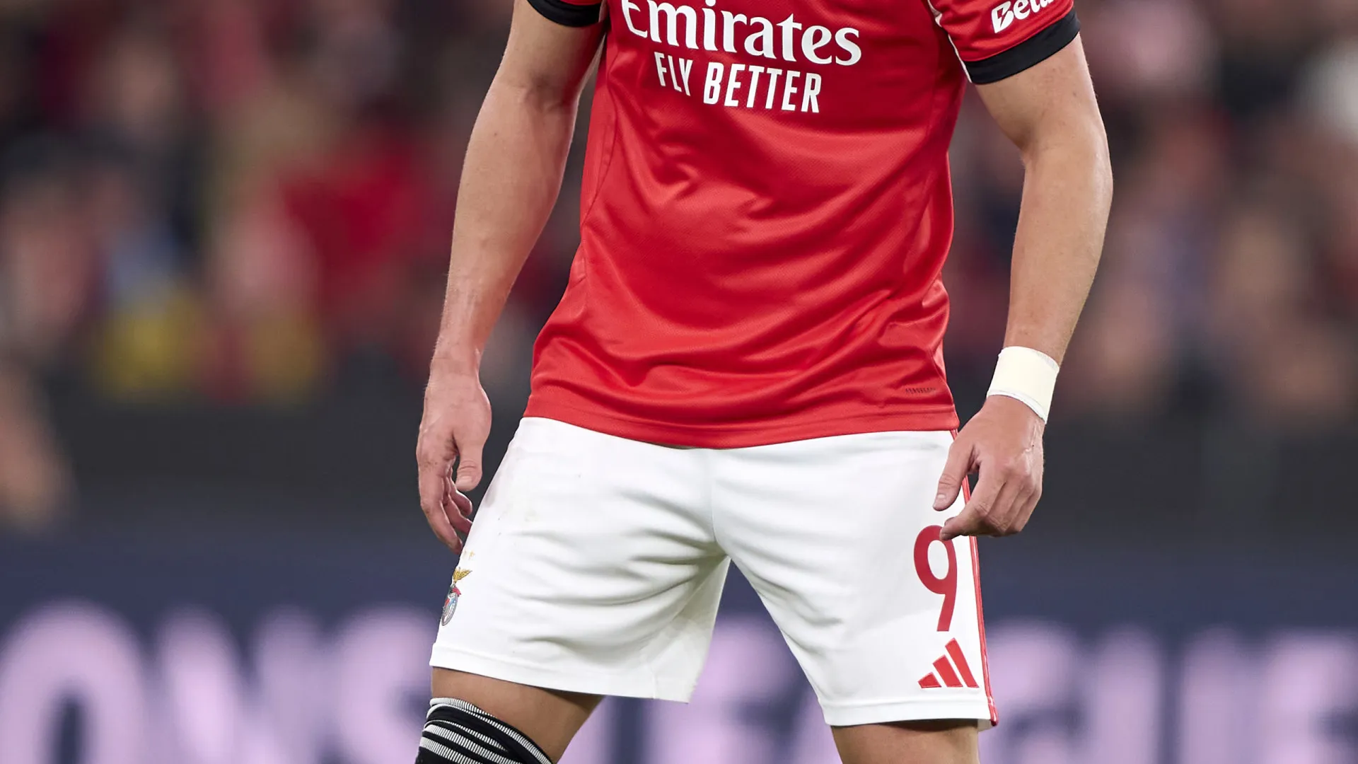 
                    Ivanovic confiante no Benfica: 