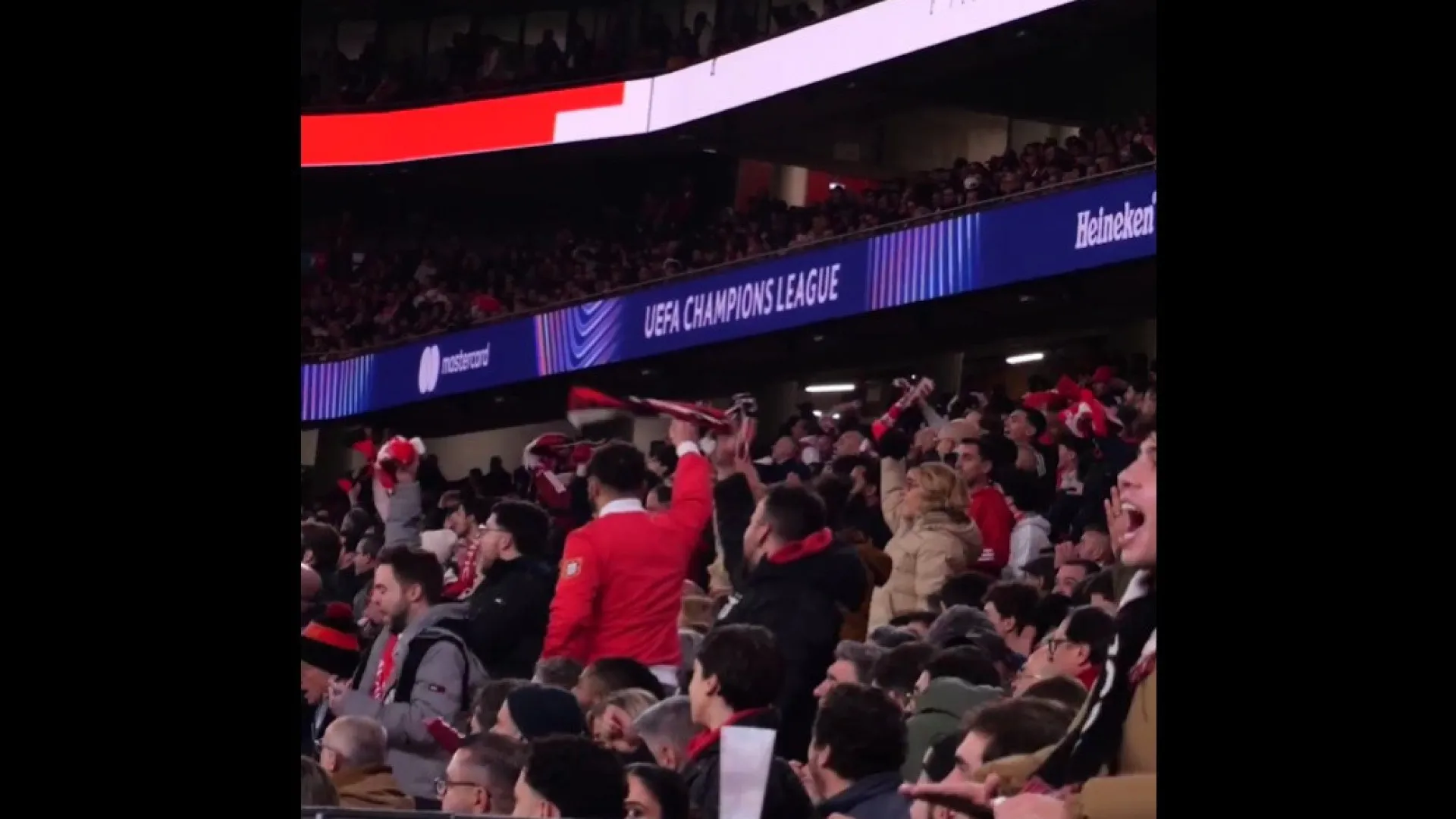 
                    Luz ferveu. Reveladas imagens da festa da vitória do Benfica na Champions
                