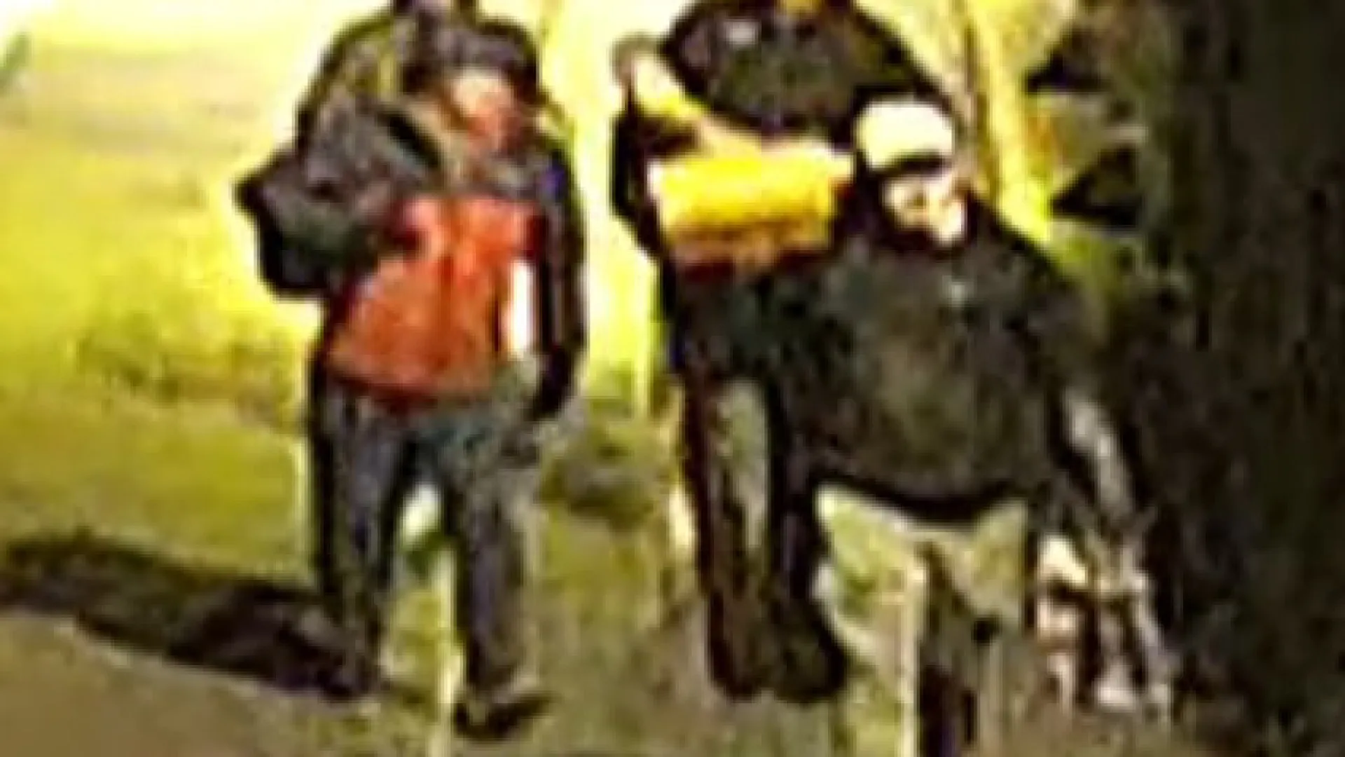 
                    Mais de 600 artefactos de 