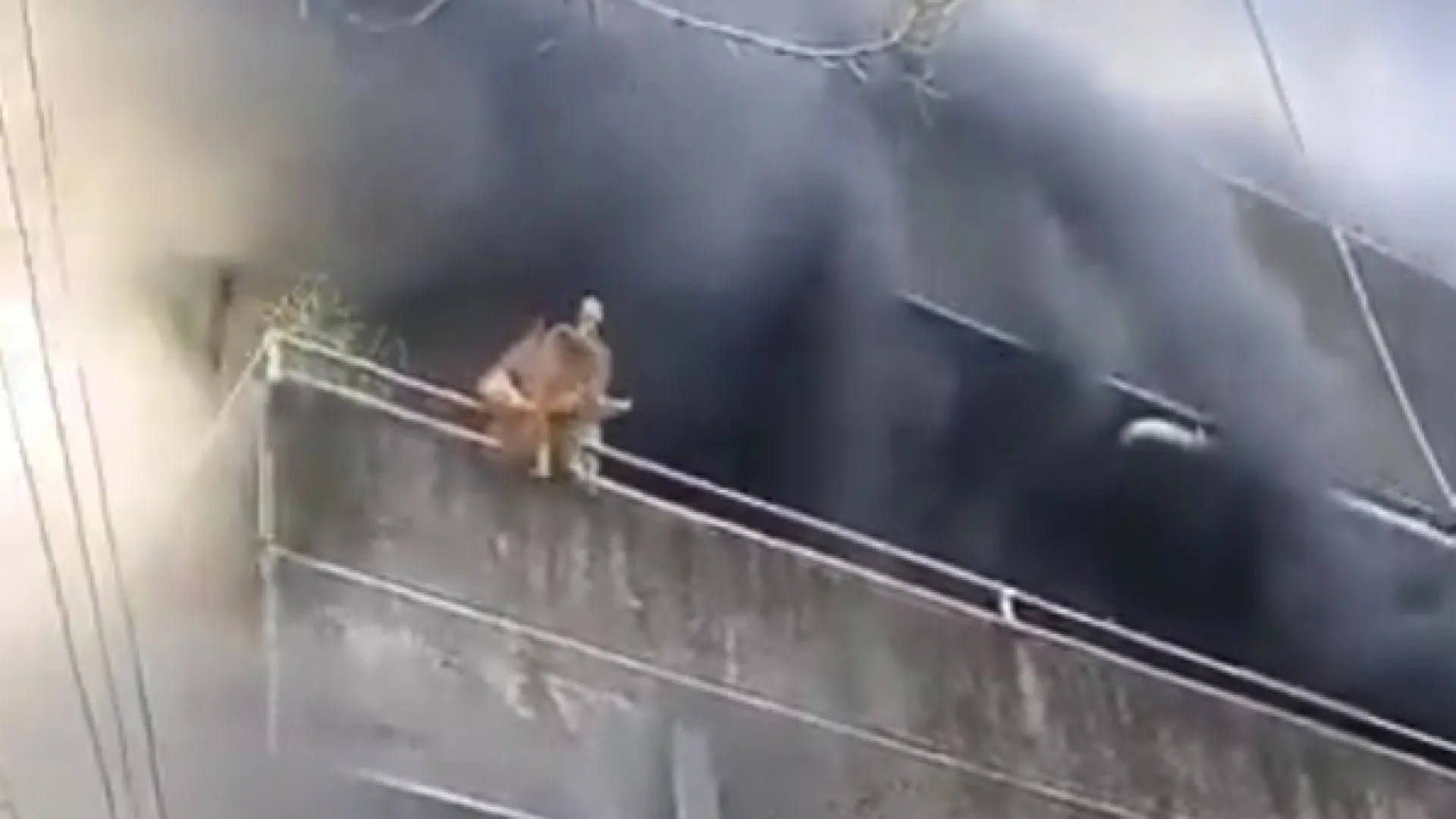 
                    Salvou cães e só depois saiu de prédio em chamas nas Filipinas. O momento
                