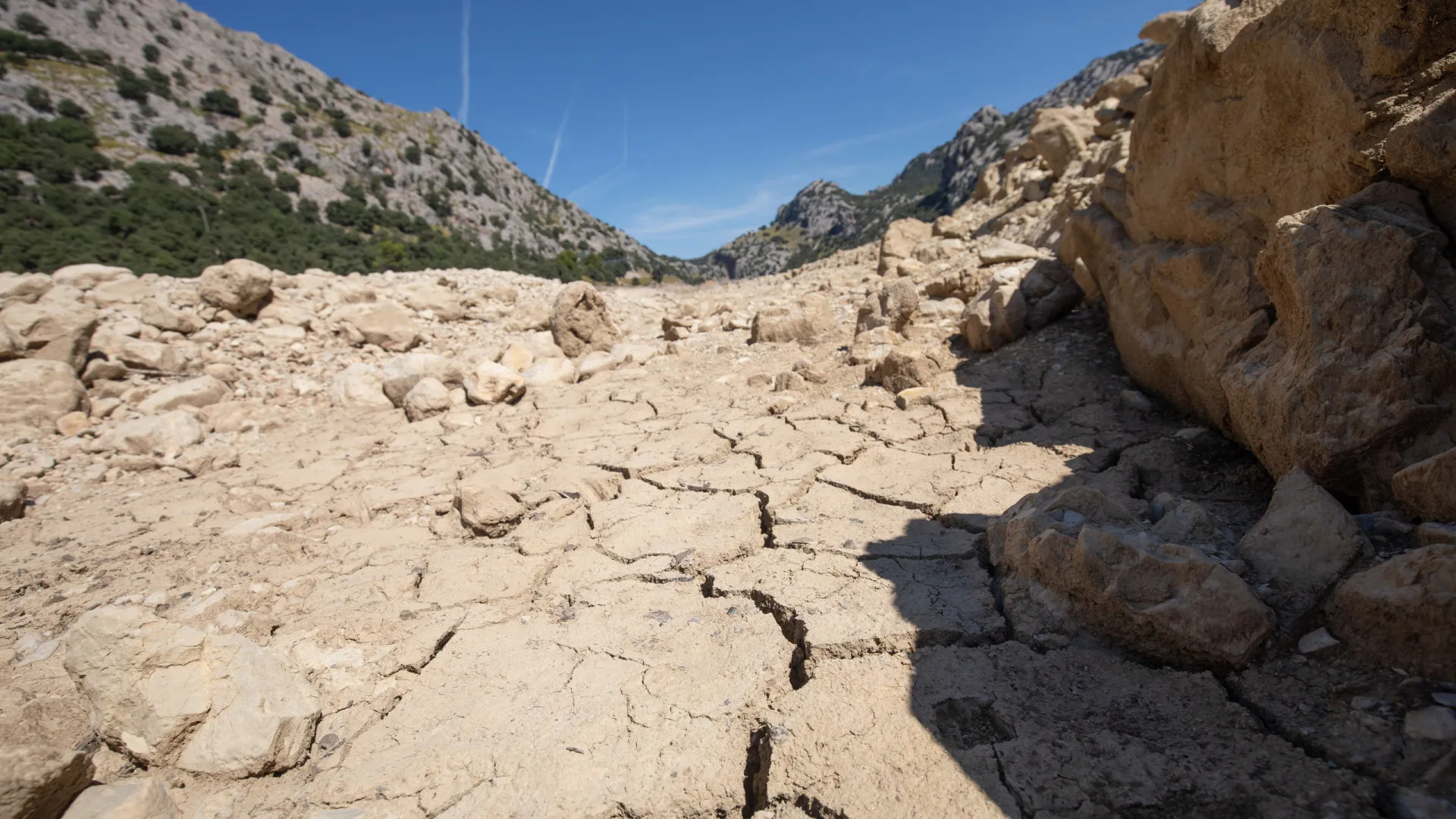 
                    Mais de 40% de Espanha ameaçada de desertificação devido à atividade humana
                