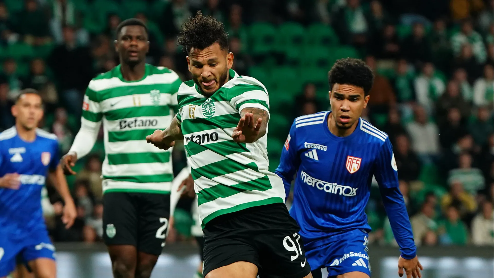 
                    Gustavo Assunção após Sporting-AVS: 