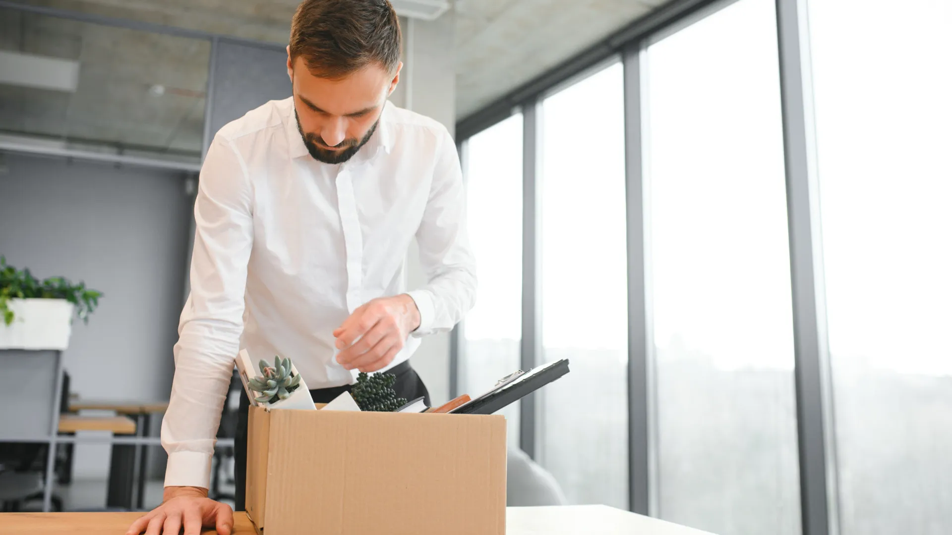 
                    Quanto recebe se ficar sem emprego? Segurança Social lança simulador
                