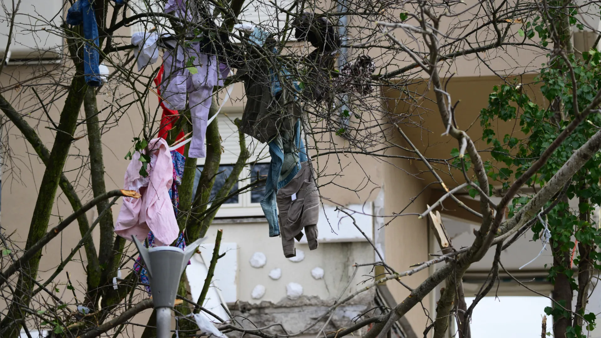
                    França. Explosão que matou filhos de português causado intencionalmente
                