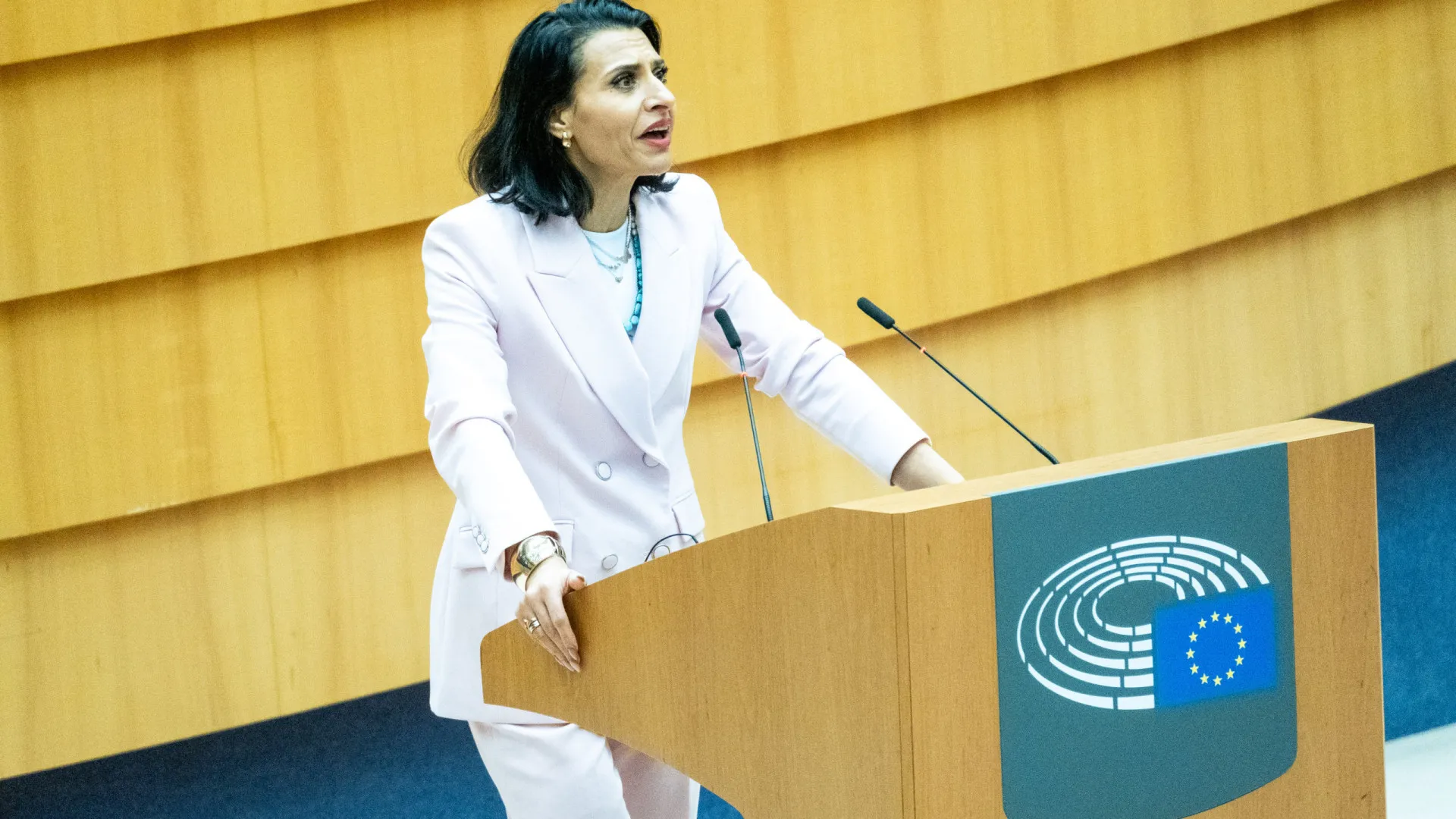 
                    Relatora da proposta sobre aborto aprovada no Parlamento Europeu otimista
                