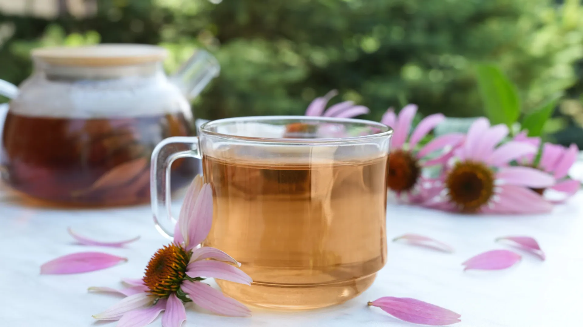 
                    Os incríveis benefícios do chá de equinácea para a sua saúde
                