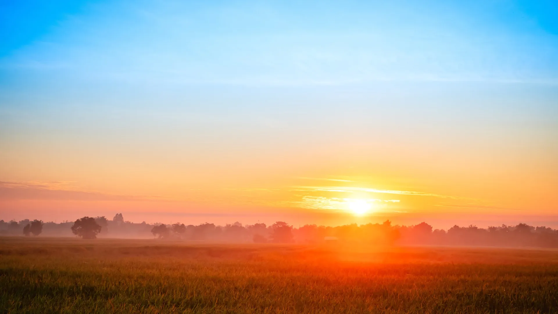 
                    O dia mais curto do ano vem aí: Solstício de inverno é já este domingo
                