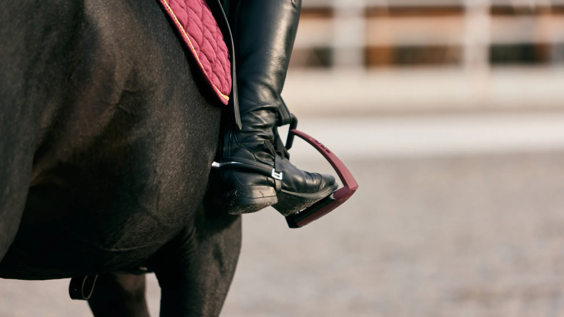 
                    Cavaleiro detido por pedofilia candidatou-se pelo Chega em 2 autárquicas
                