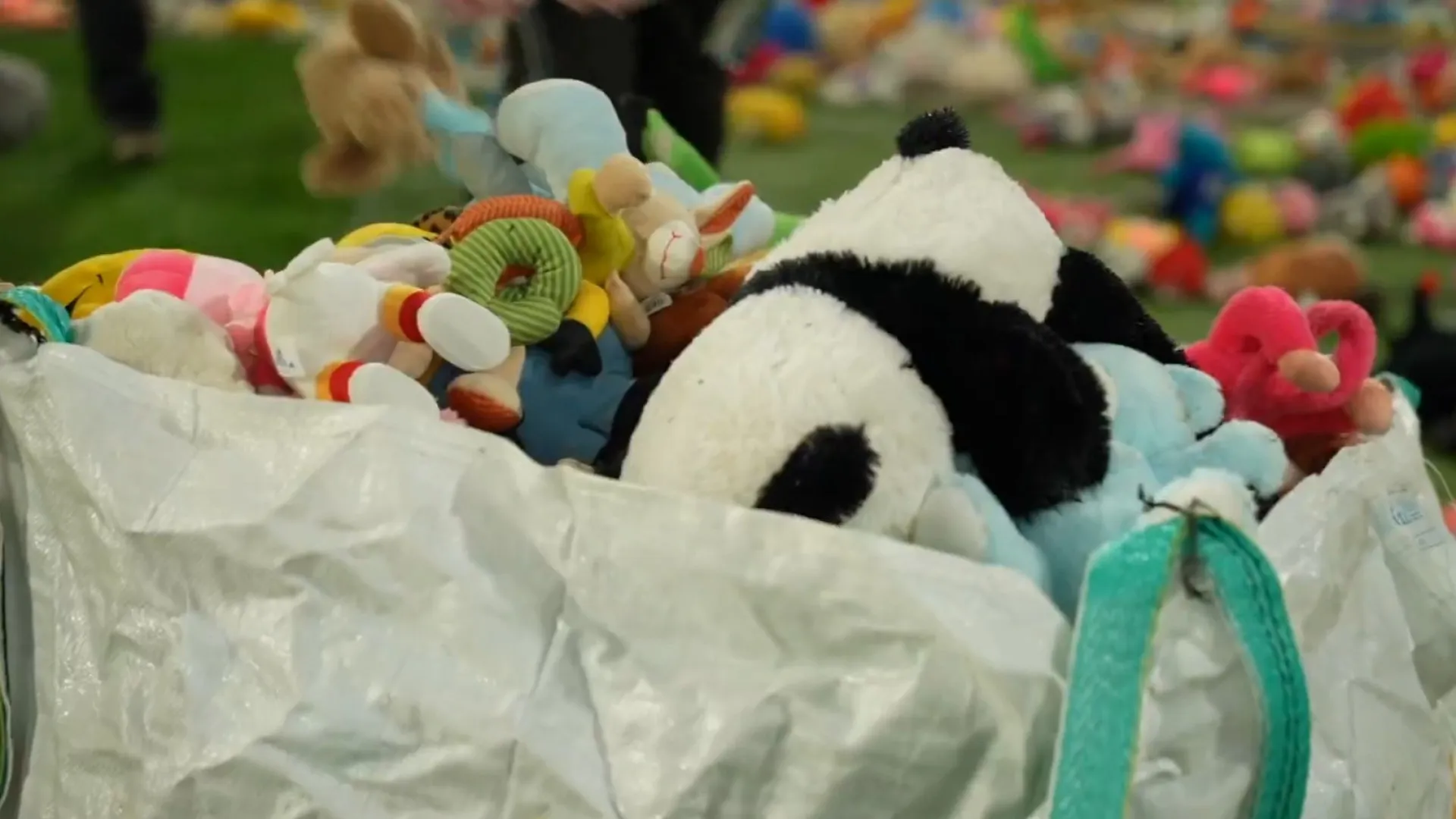 
                    Não era Natal sem ela. A 'chuva' de peluches organizada pelo Real Betis
                