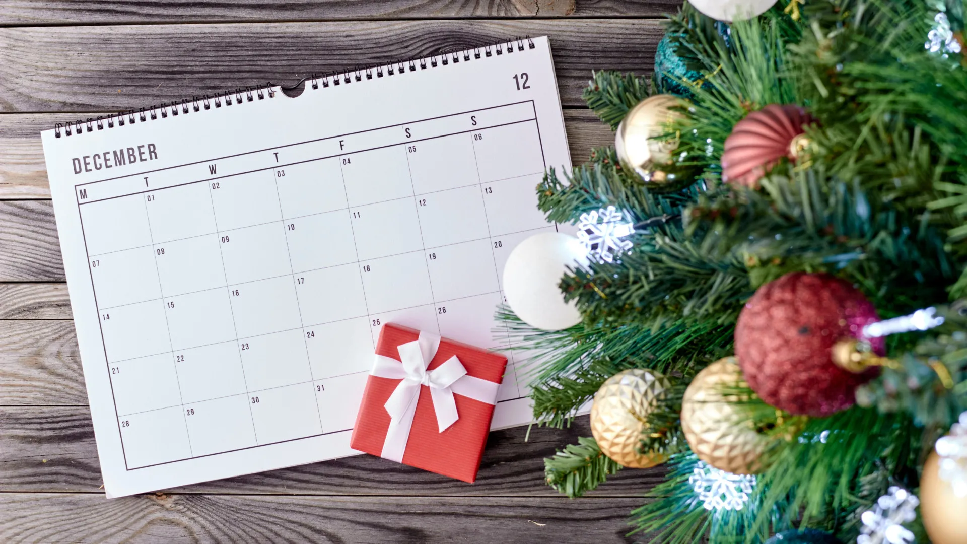 
                    Não se esqueça: Esta semana há tolerância de ponto (para quem?)
                