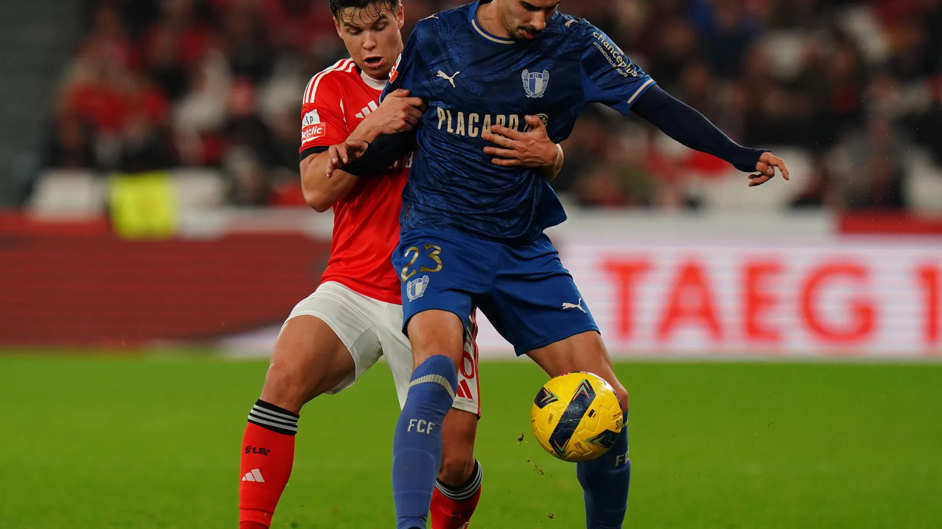 
                    Gil Dias e o regresso ao Estádio da Luz: 