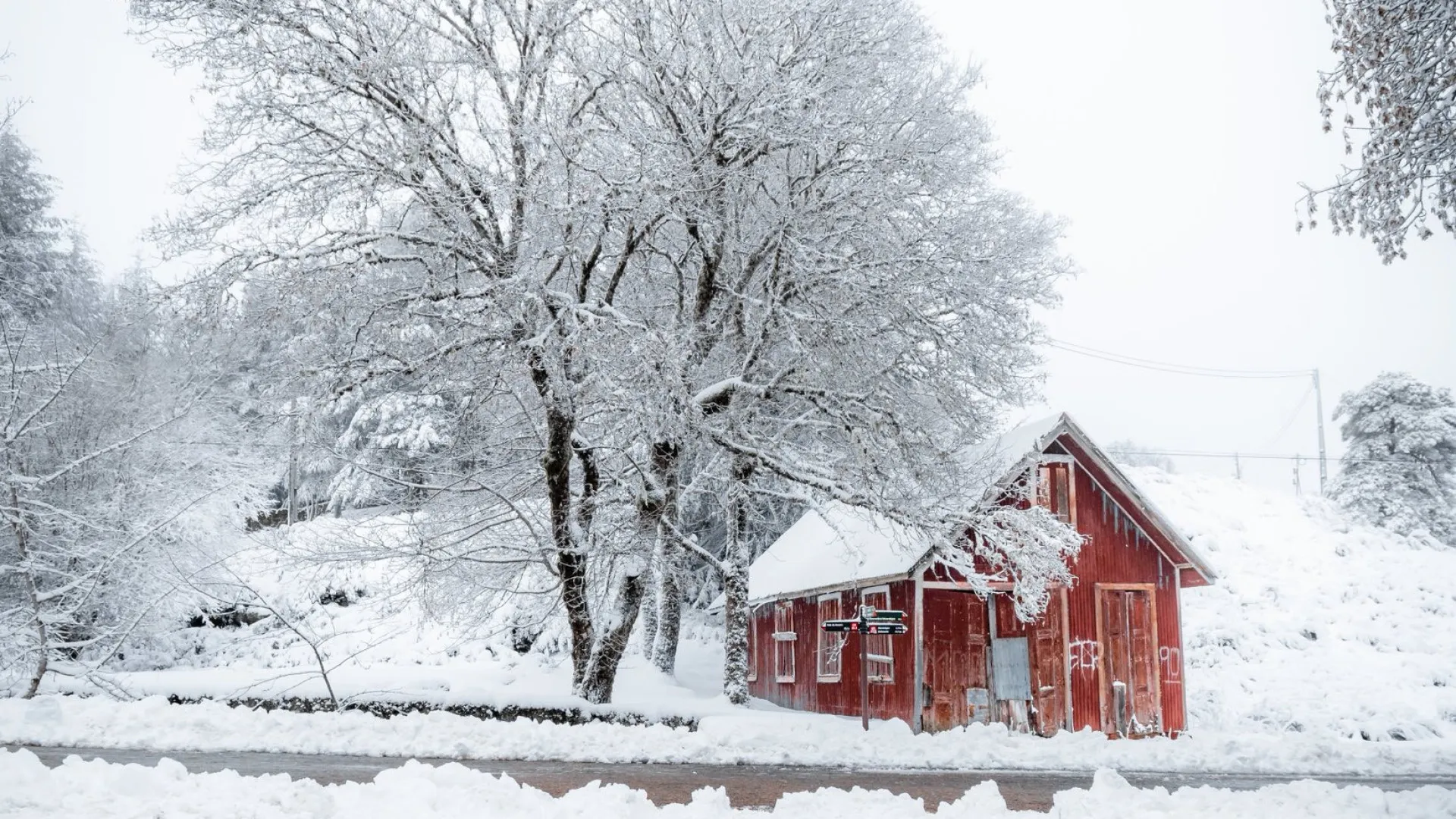 
                    Neve continua a dar ao país paisagens e fotos dignas de postais de Natal
                