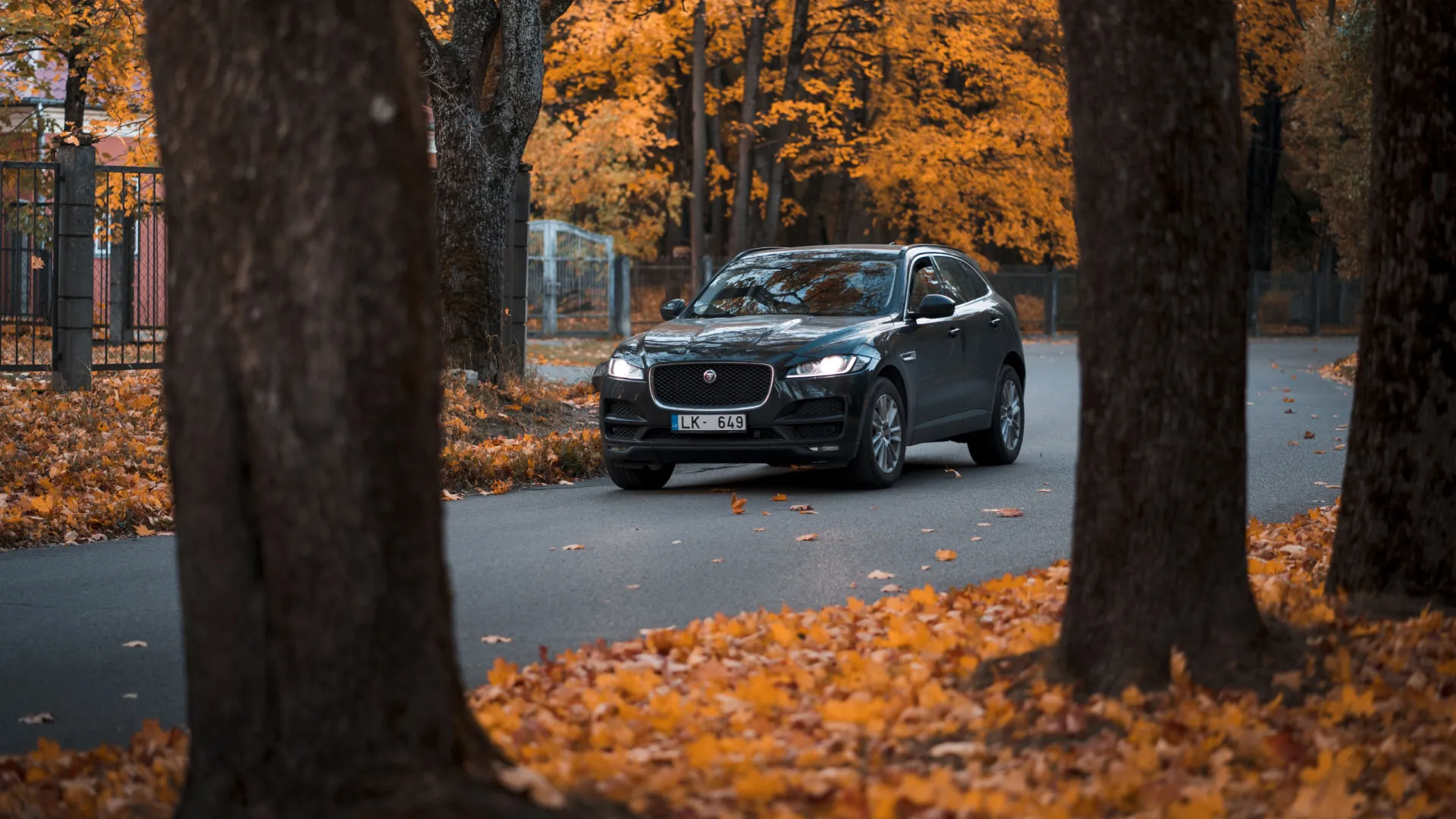 
                    Jaguar encerrou uma era ao produzir último carro a combustão
                