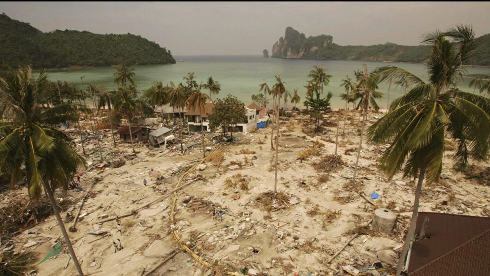 
                    O pior tsunami do séc. XXI foi há 21 anos: Das imagens aos dados
                