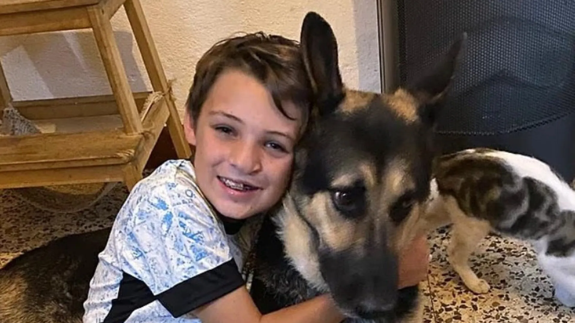 
                    Tragédia em Tomar. Avó revela que neto foi morto 