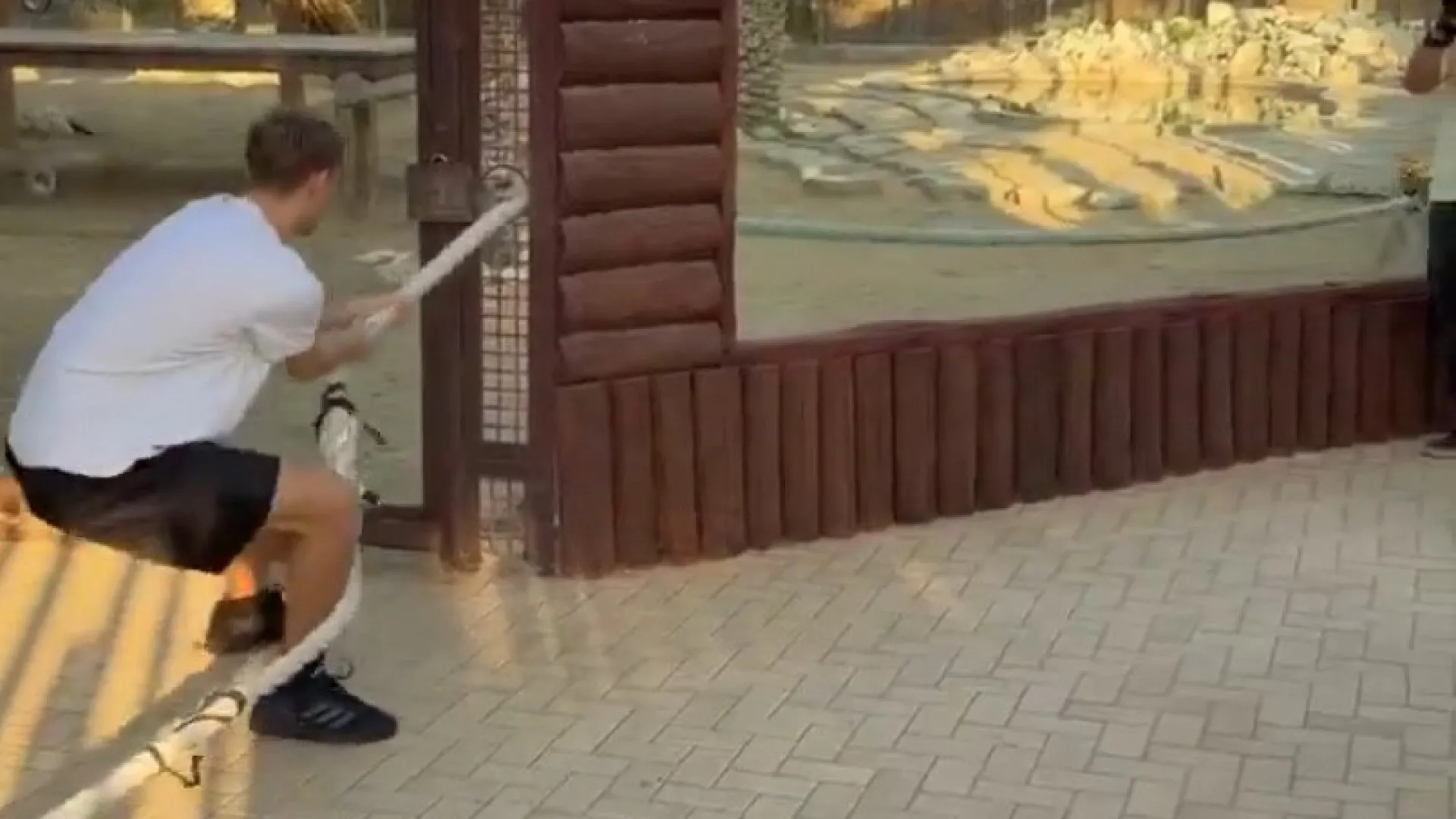 
                    Jogador do Real Madrid testou a força com tigre e o resultado foi este
                