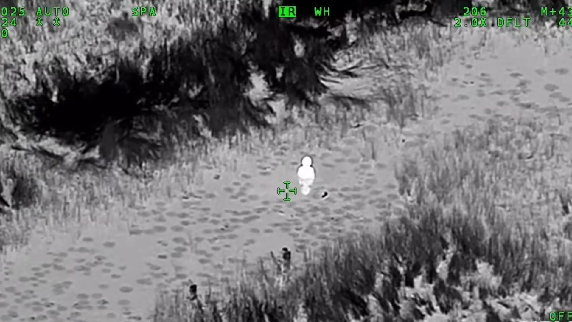 
                    Criança com autismo resgatada de lago na Florida (pela segunda vez)
                