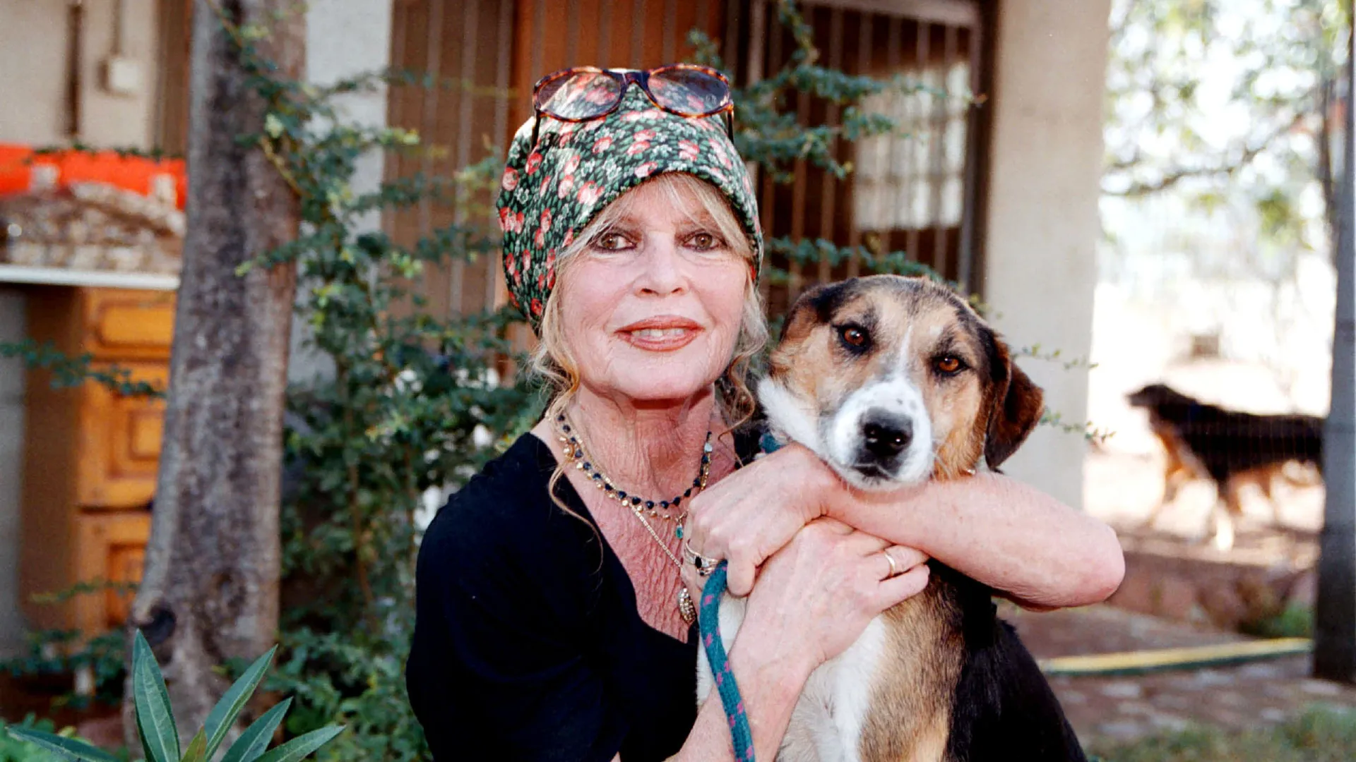 
                    Brigitte Bardot. PETA lamenta morte da atriz, 