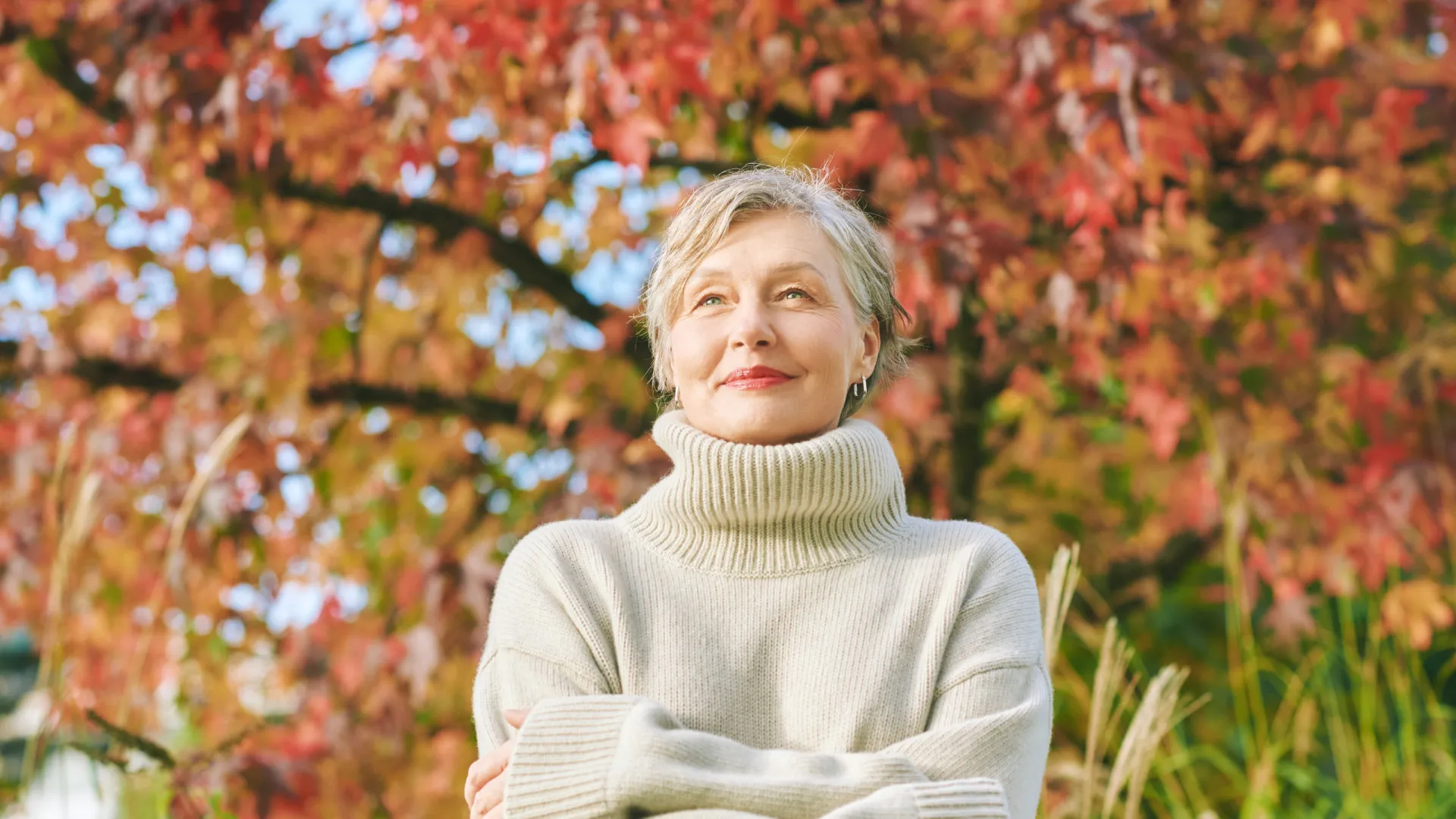 
                    Neurocirurgiões revelam 6 pilares da saúde que ajudam a viver mais tempo 
                