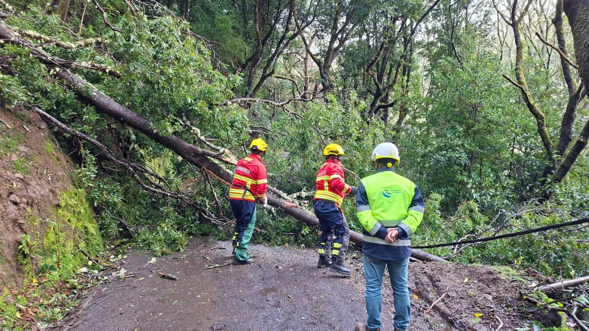 
                    Percursos pedestres da Madeira reabrem domingo depois do mau tempo
                