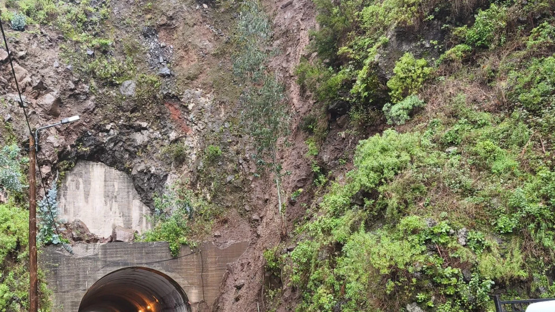 
                    Quedas de árvores e rajadas de 117 km/h. Depressão Francis arrasa Madeira
                