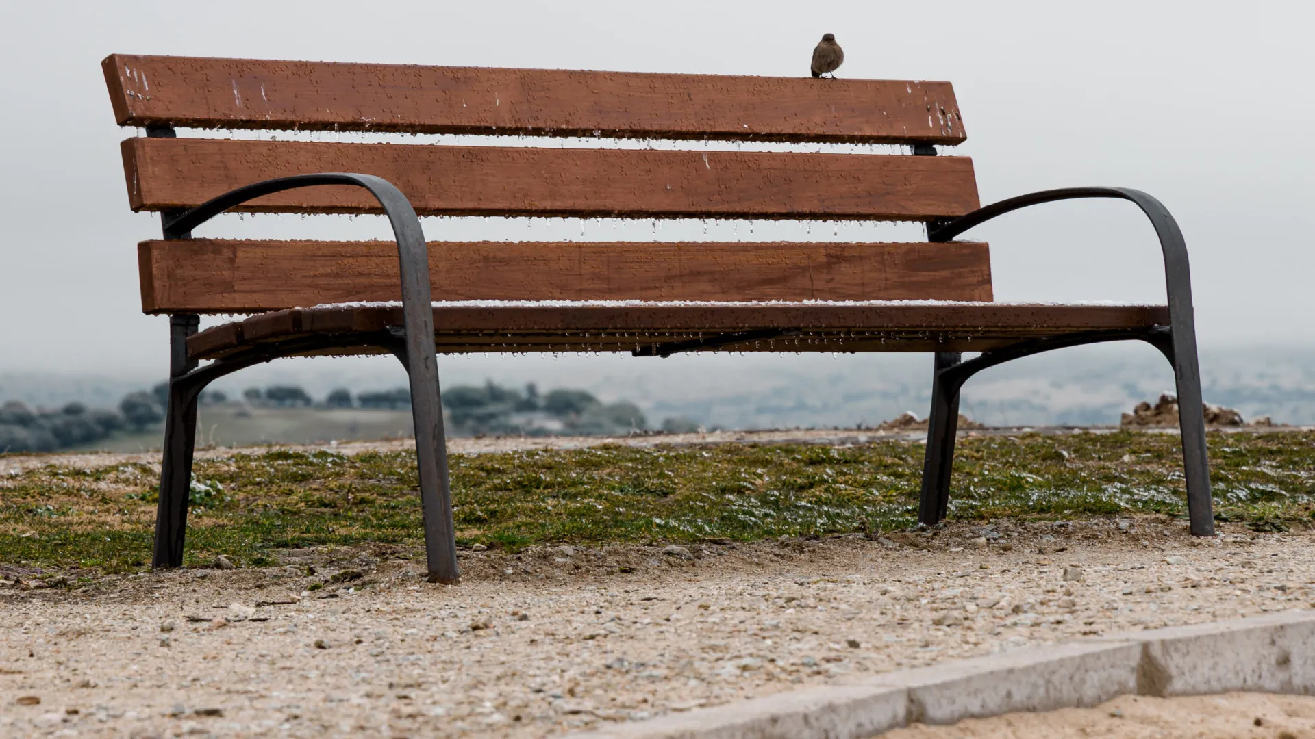 Escolas fechadas e aulas suspensas em cinco concelhos da Guarda