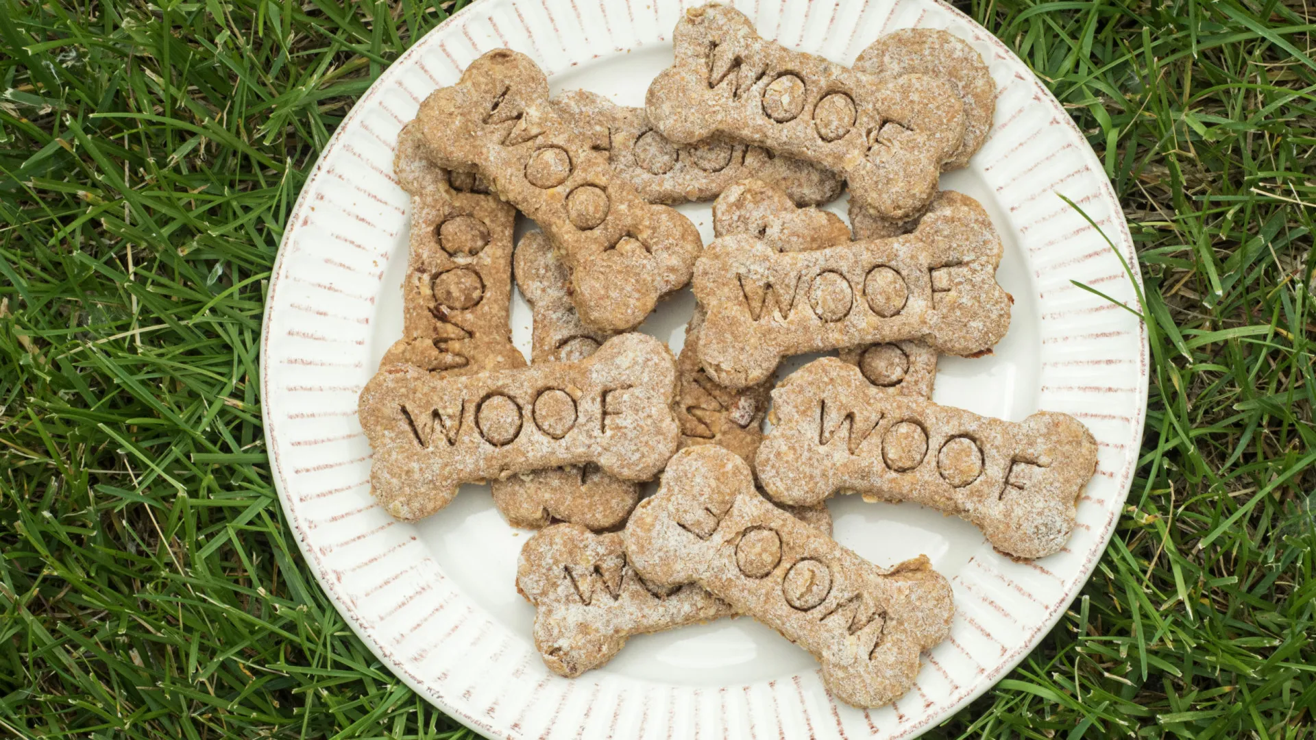 
                    Biscoitos caseiros! Mas esta receita (sustentável) é para o seu patudo
                