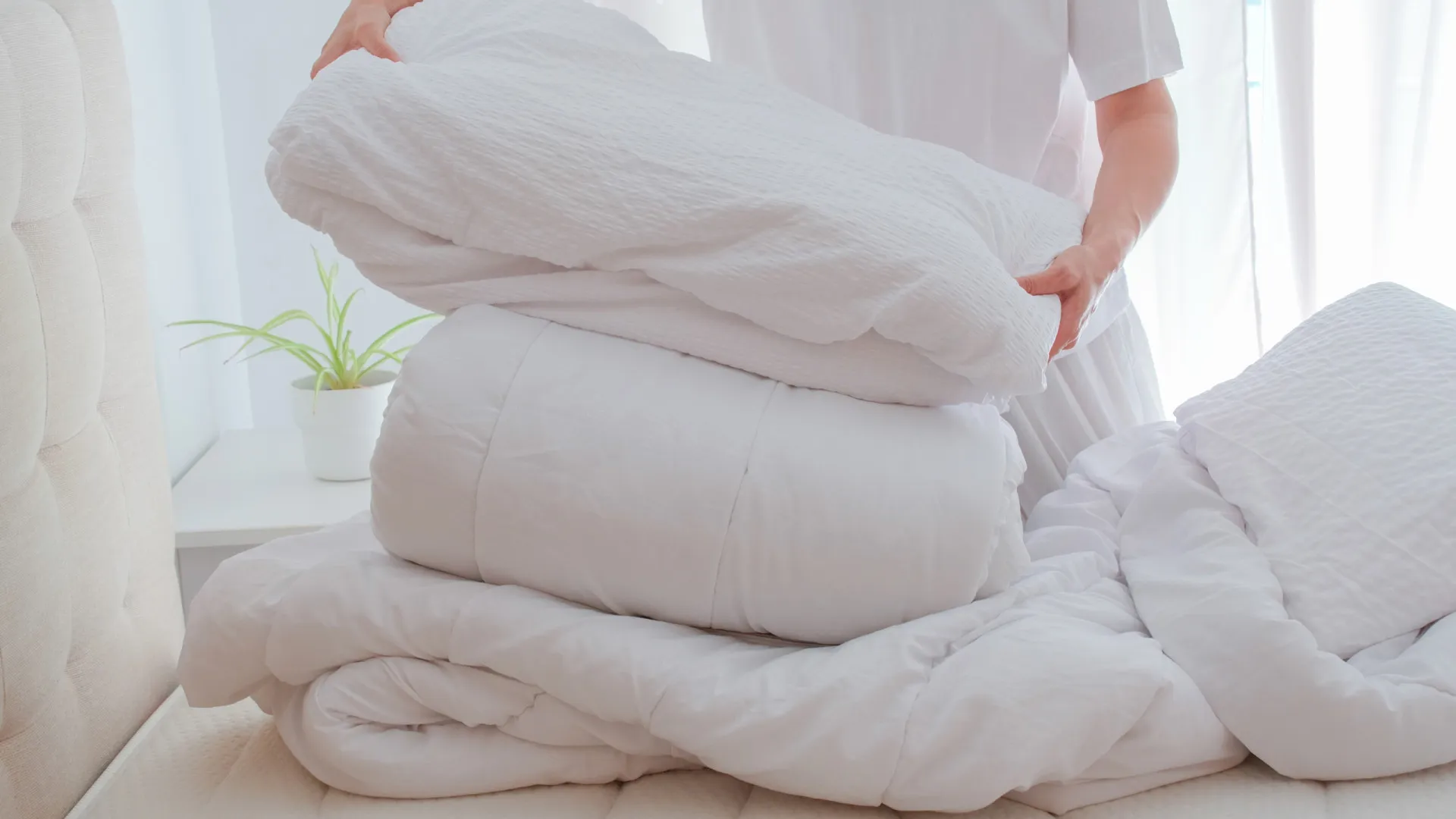 
                    A razão pela qual deve colocar o seu edredão dentro do congelador
                