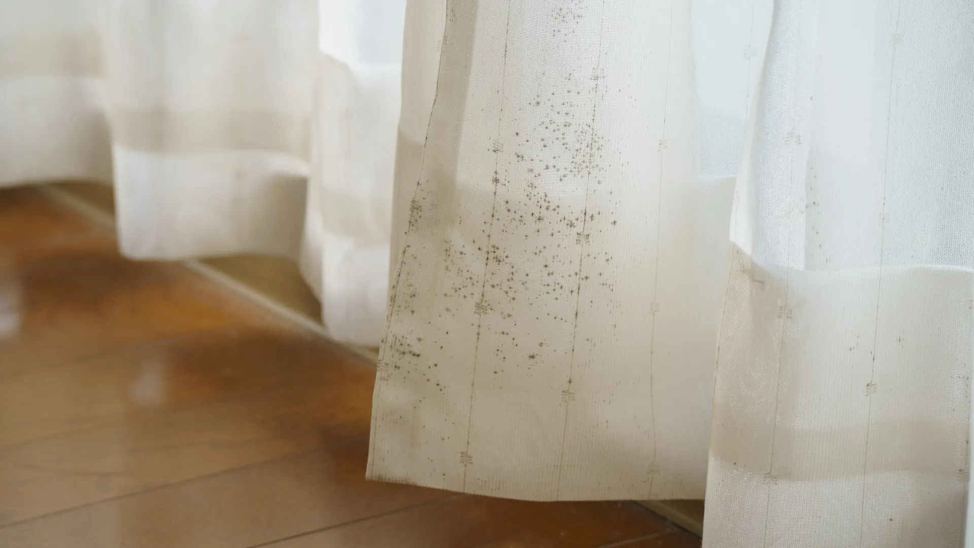 
                    Truques infalíveis para tirar bolor das roupas (brancas e coloridas)
                