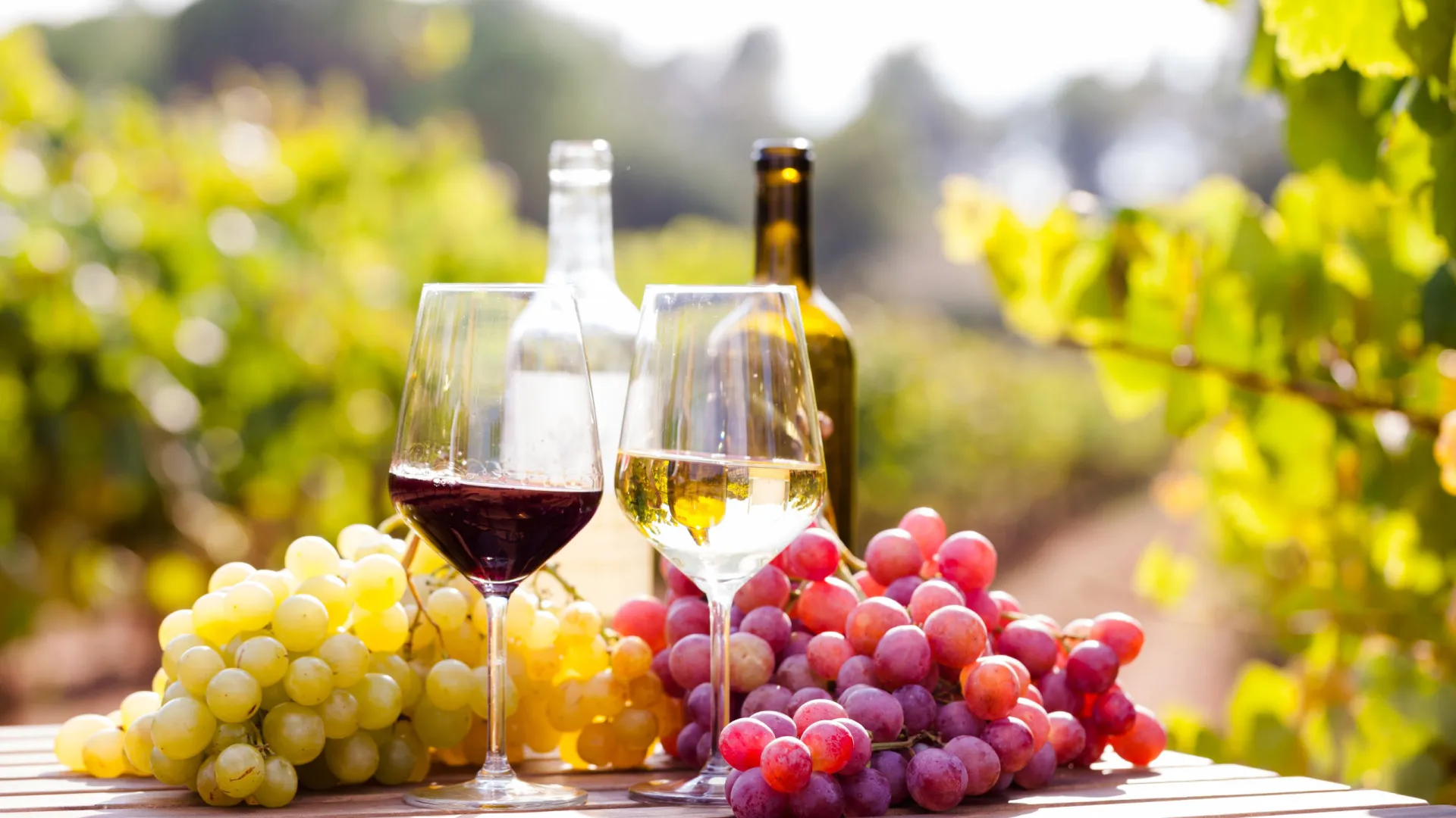 
                    Acordo UE/ Mercosul? CAP destaca impacto relevante no vinho e azeite
                