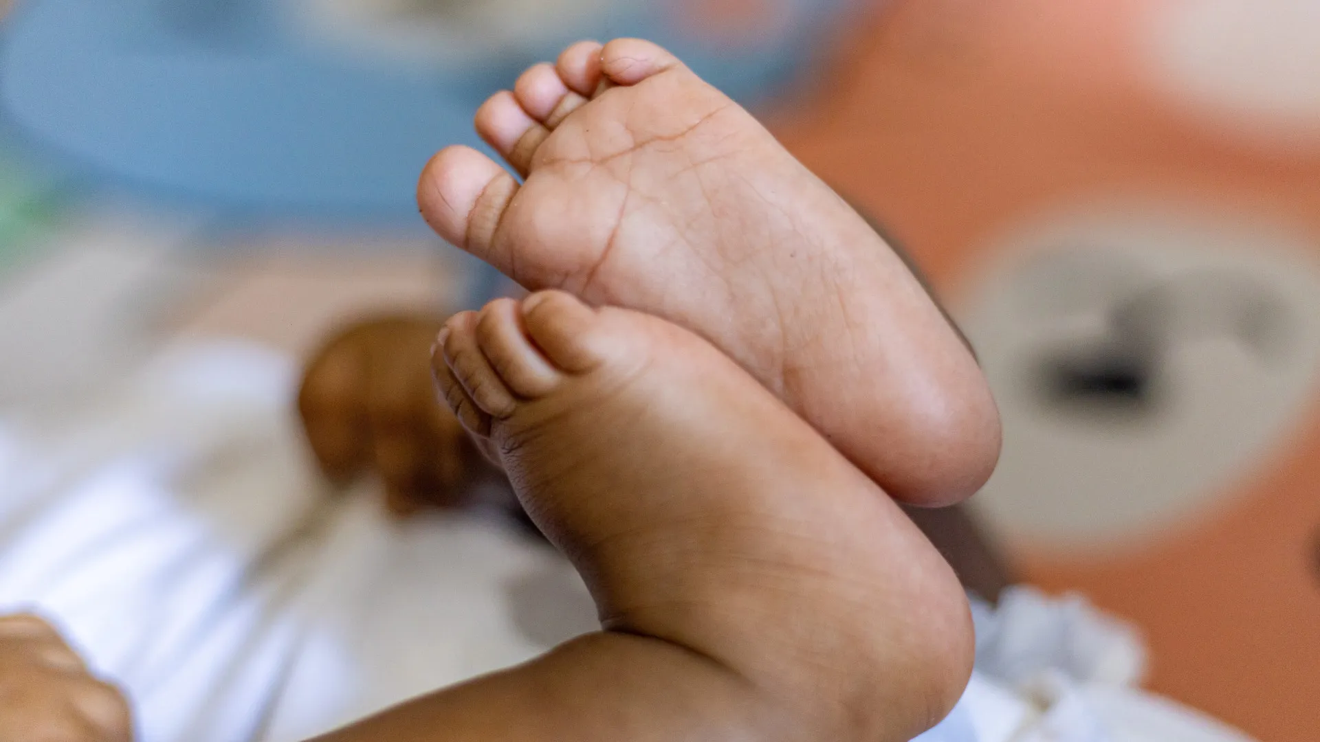 
                    Hospital de Ponta Delgada com hipotermia terapêutica para recém-nascidos
                