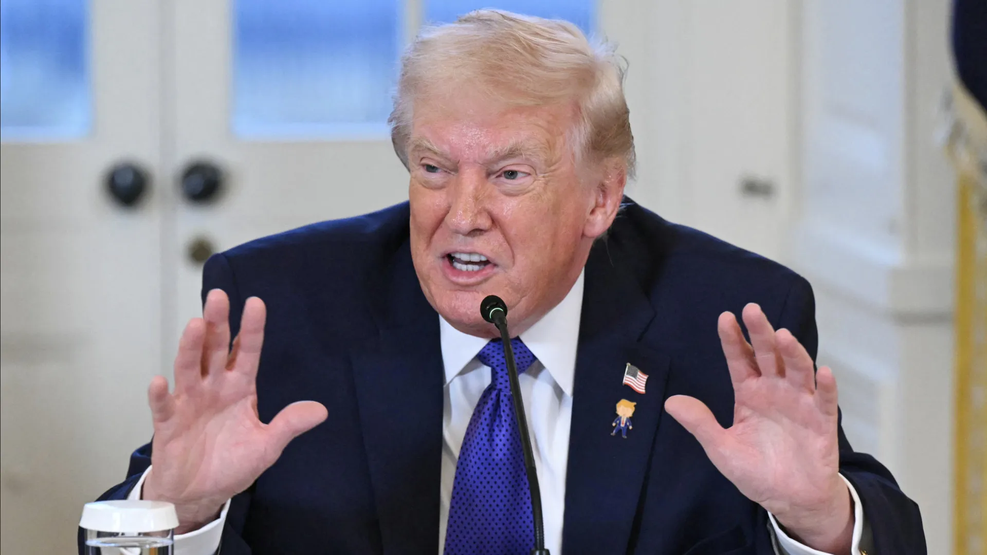 
                    EUA vão doar oito mil milhões de euros para Conselho da Paz
                