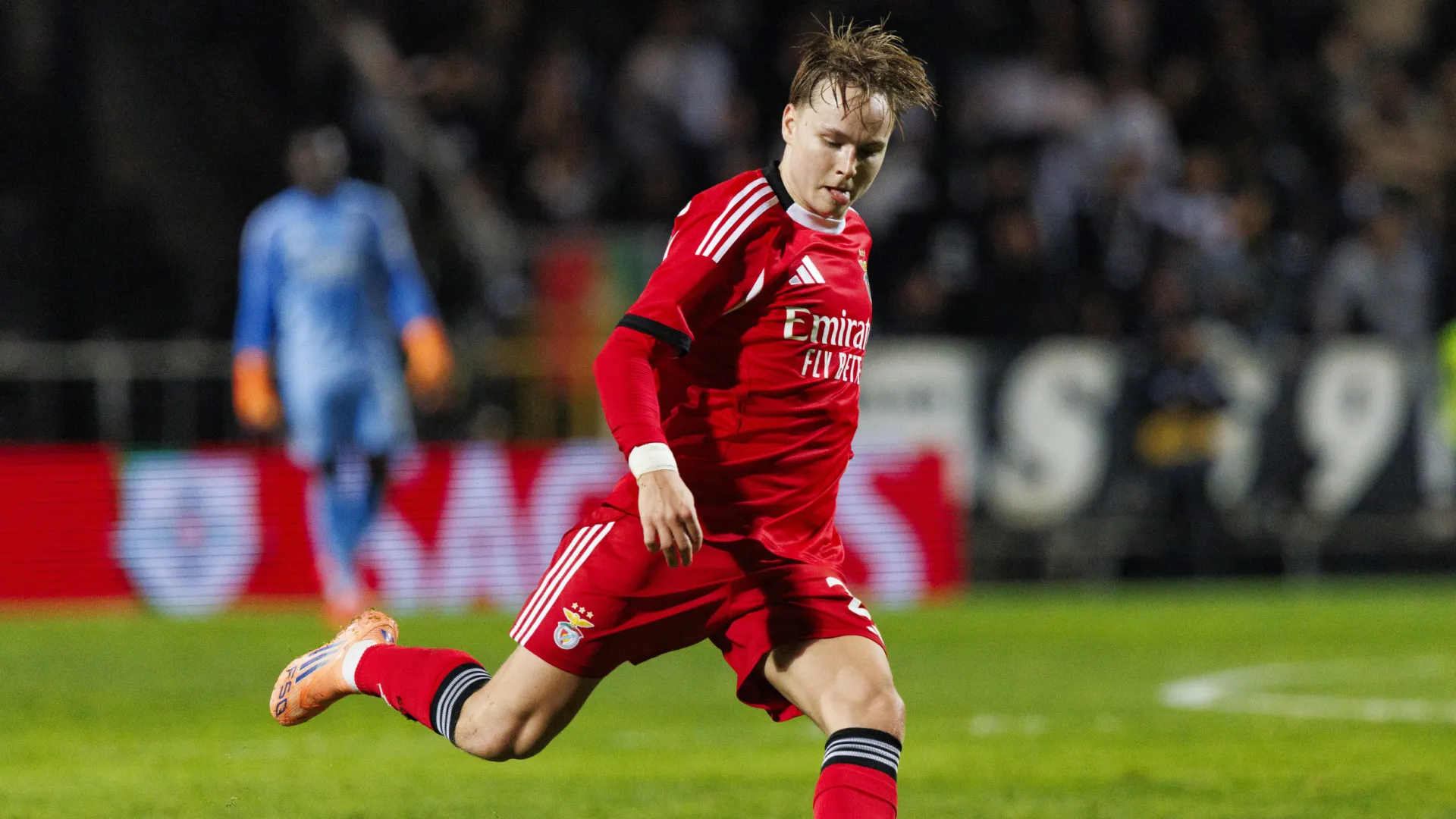 
                    Nuno Espírito Santo entra em cena e pode desviar Schjelderup 
                