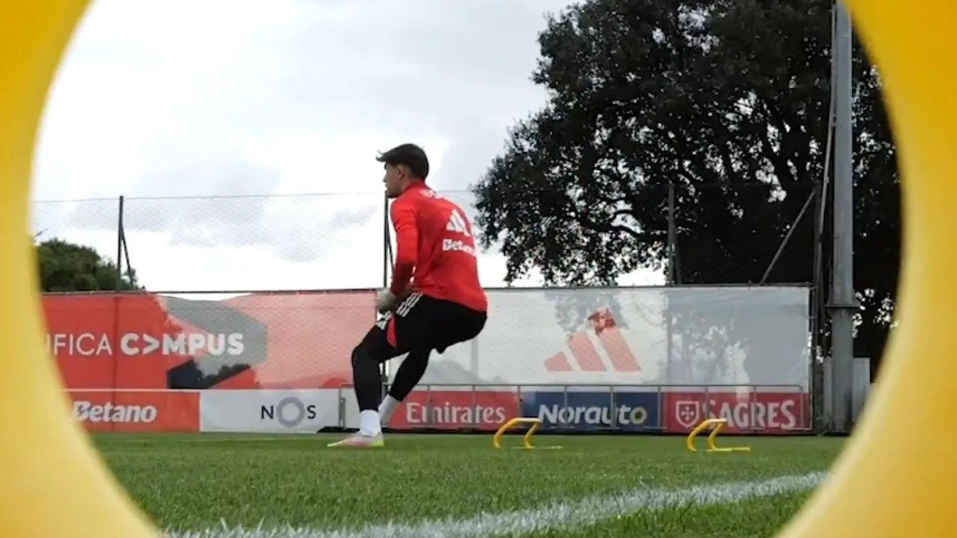 
                    Benfica prepara Clássico diante do FC Porto... com vendáveis no grupo
                