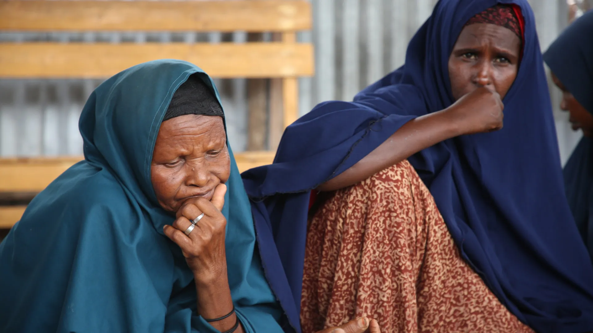 
                    Exército da Somália mata 17 terroristas do Al-Shabab
                