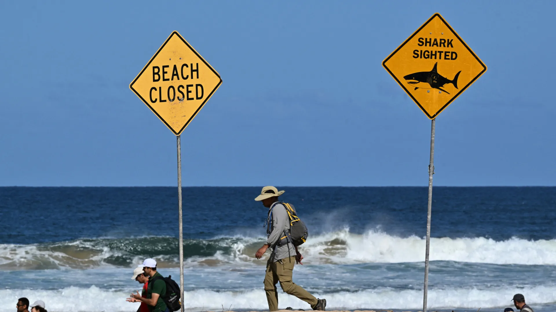 
                    Novo ataque de tubarão em praia na Austrália. É o quarto em três dias
                