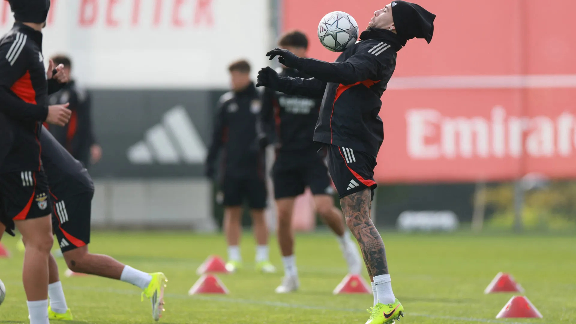 
                    As imagens do último treino do Benfica antes da viagem para Turim
                