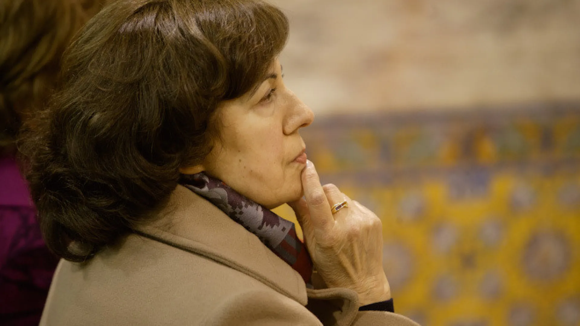 
                    Morreu a investigadora de Literatura Maria Alzira Seixo, aos 84 anos
                