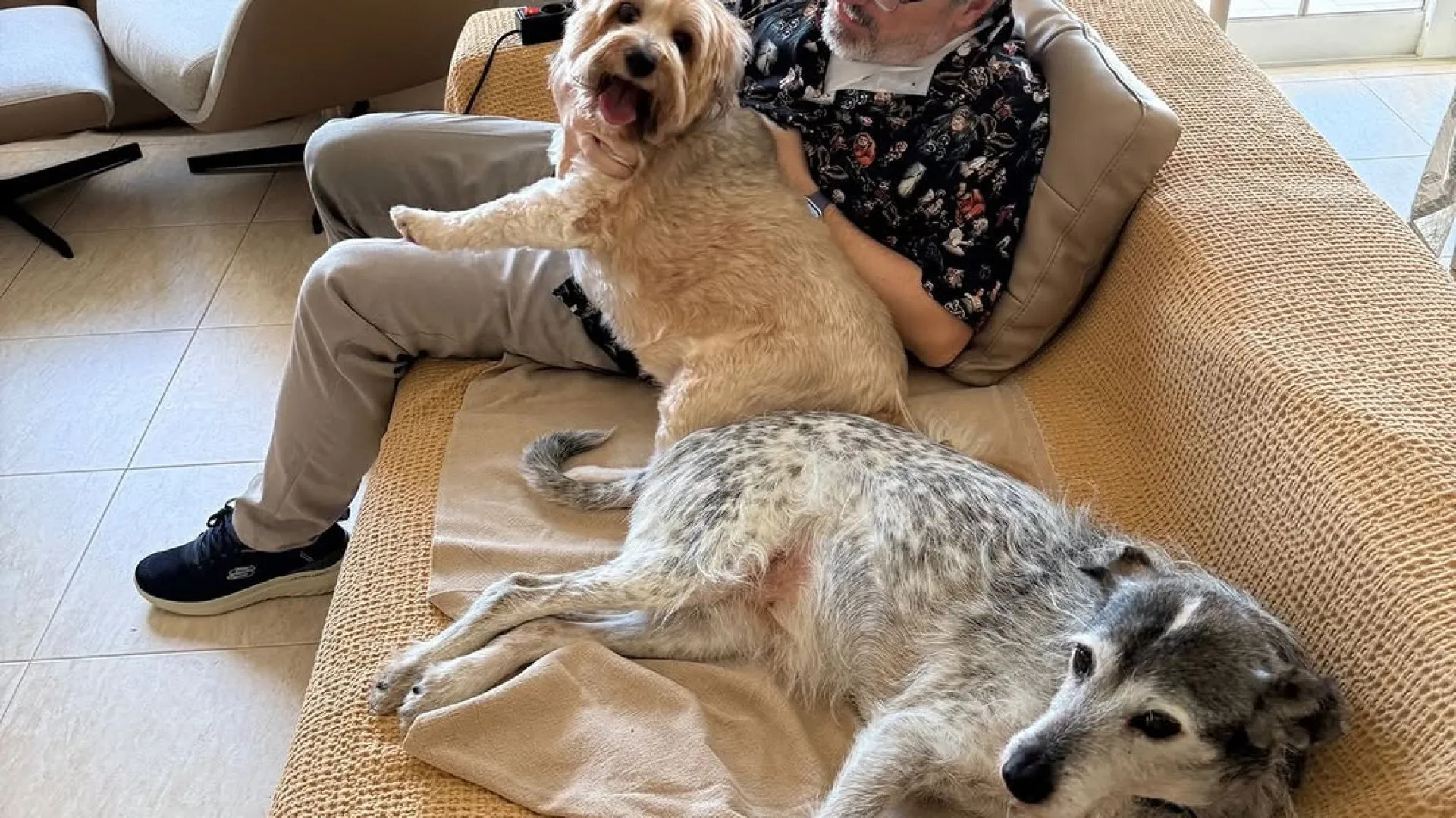 
                    Nuno Markl faz agradecimentos após desafios de cadeira de rodas em casa
                