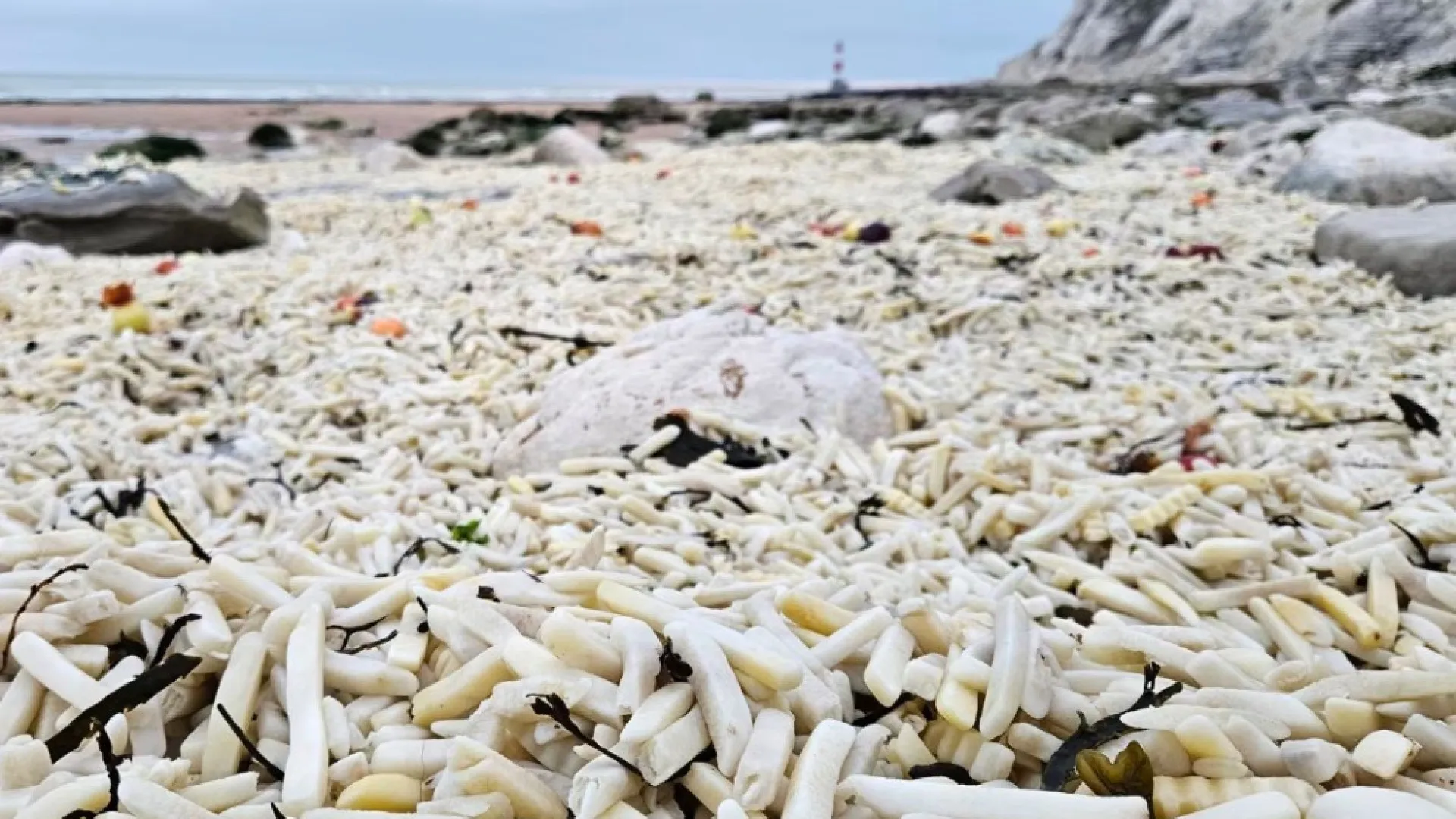 
                    Batatas fritas e sacos de cebolas dão à costa em praia de Inglaterra
                