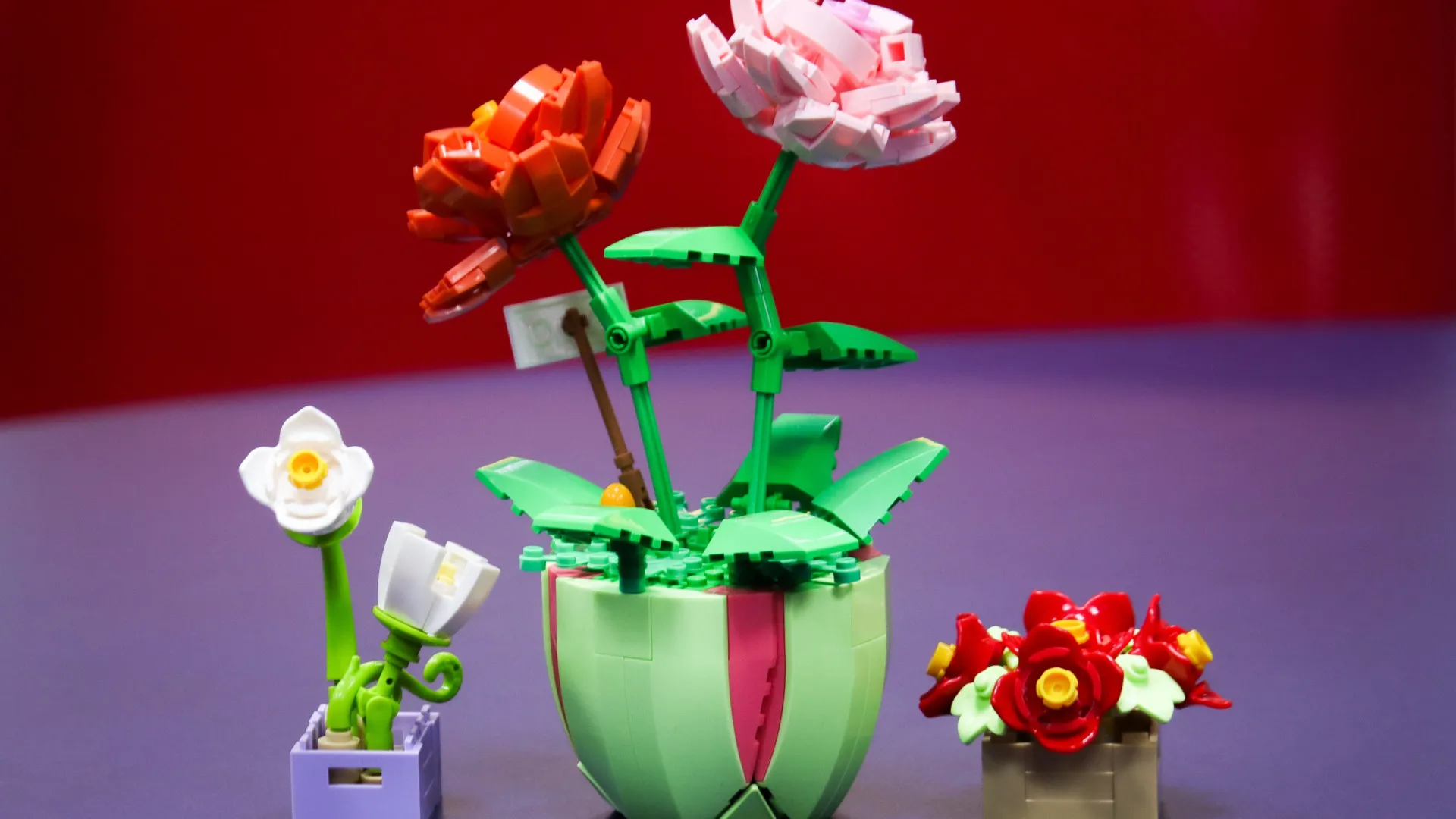 
                    Lírio-da-paz e outras flores (da Lego e não só) que nunca murcham! 
                