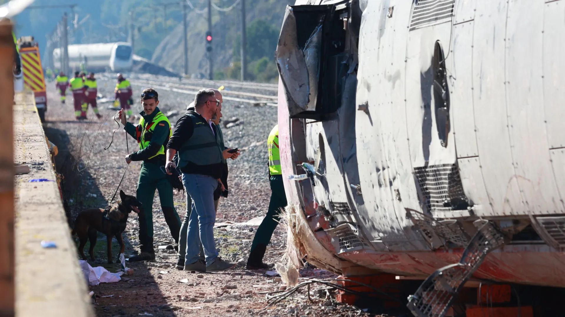 
                    Córdoba: Reveladas primeiras conclusões sobre acidente que fez 45 mortos
                