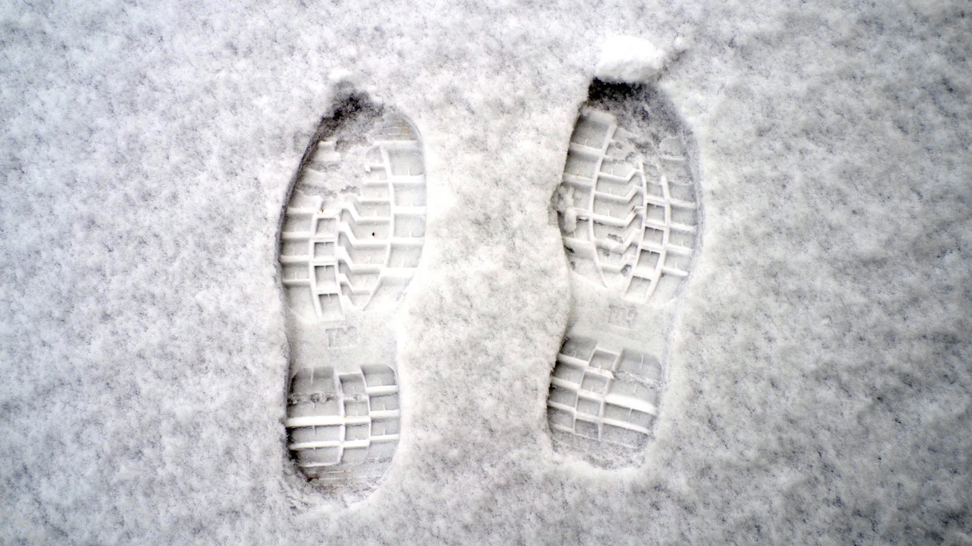 
                    Alunos de Vimioso regressam a casa mais cedo devido à neve e gelo
                