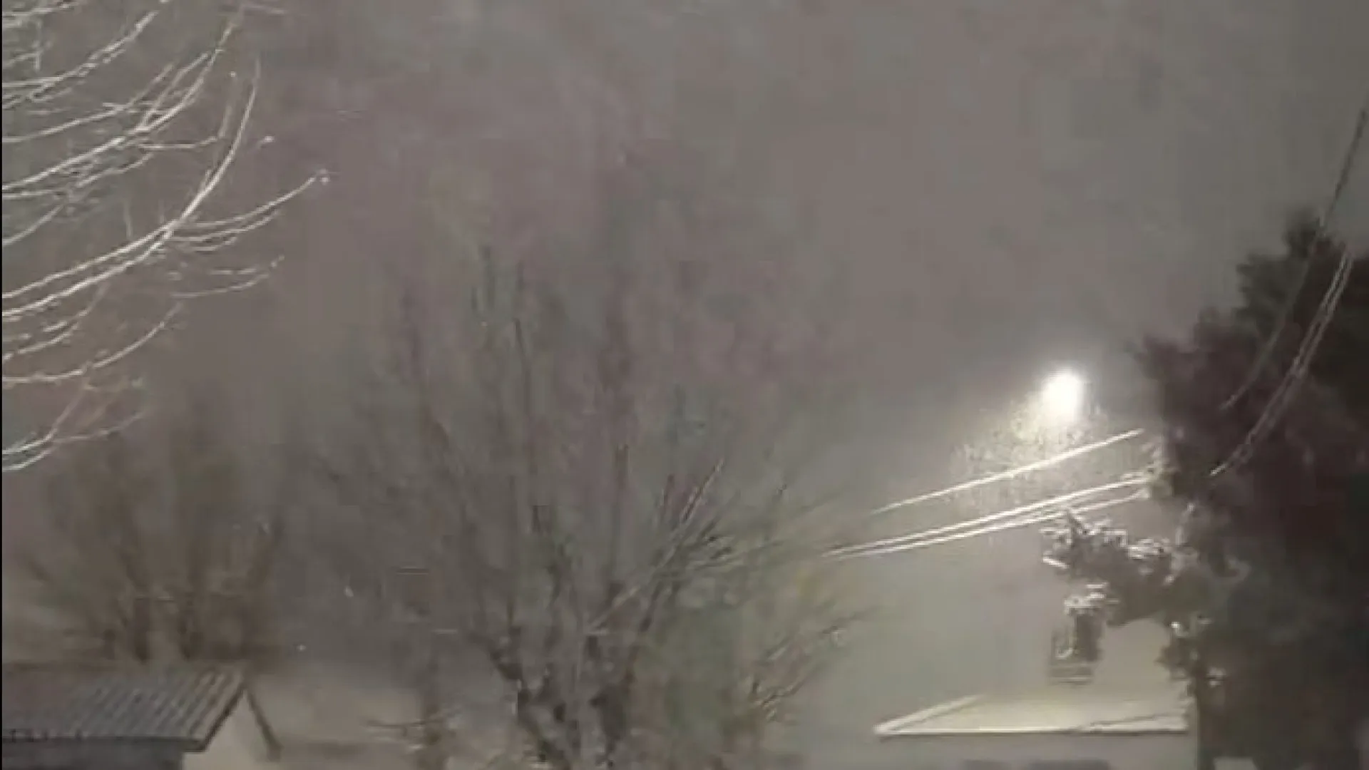 
                    Neve pinta de branco várias zonas do país (até no Alentejo). As imagens
                