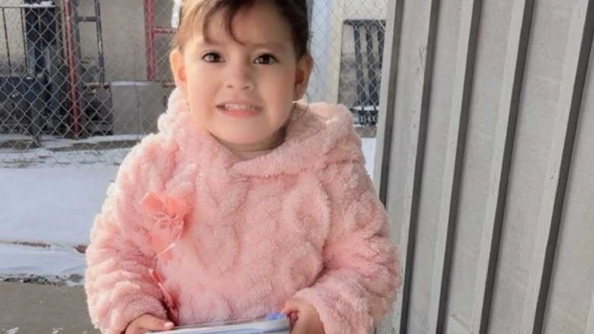 
                    Menina de dois anos detida (e transferida ilegalmente) pelo ICE
                