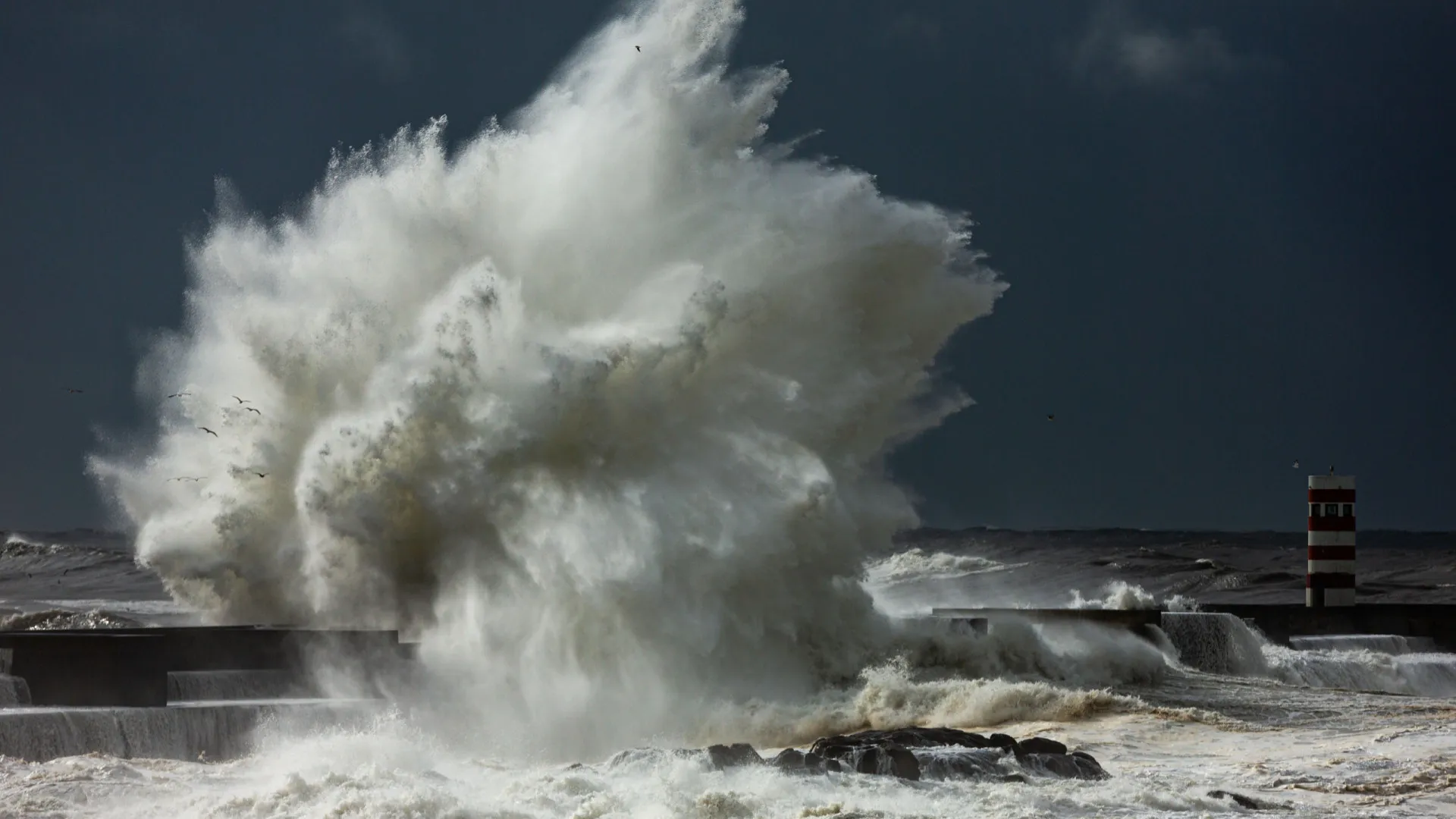 
                    Mais de 1.500 ocorrências associadas ao mau tempo até às 22h00
                