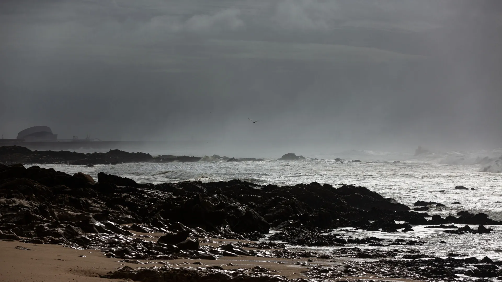 
                    Peso da Régua alerta para risco de cheias com descargas controladas
                
